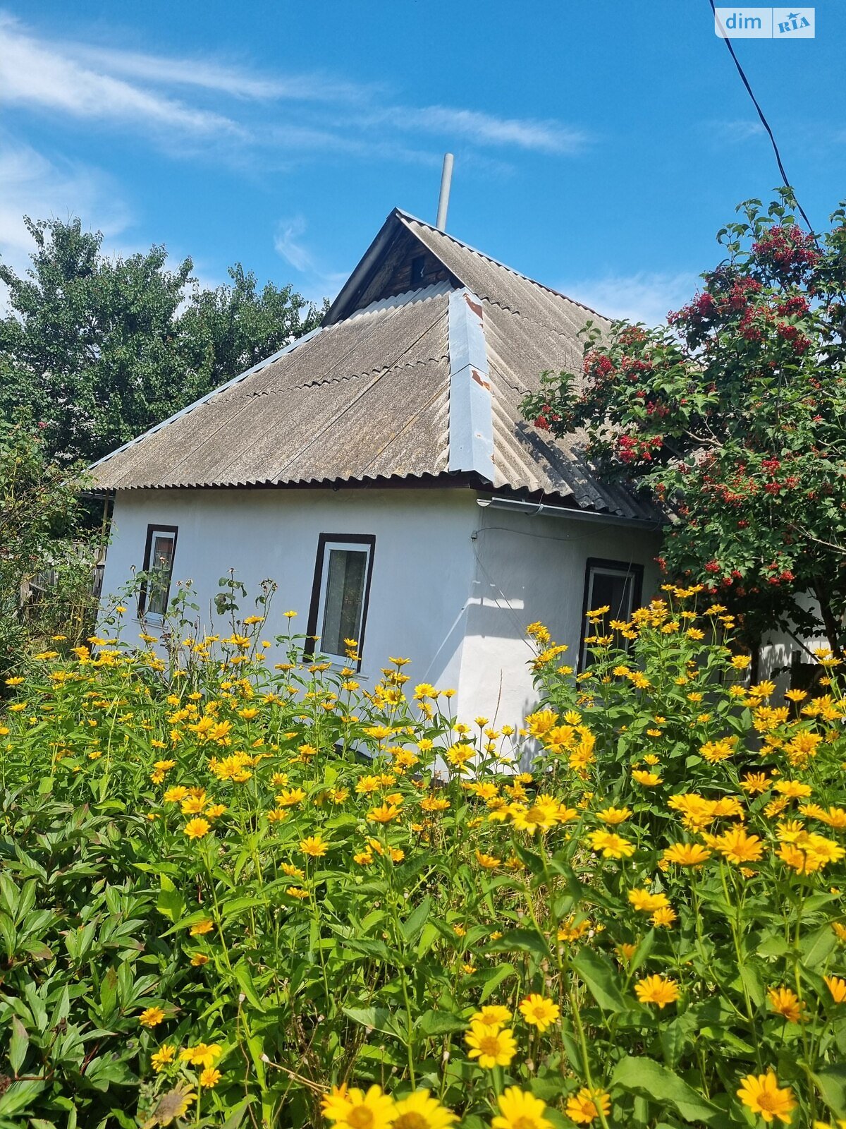 одноповерховий будинок з опаленням, 80 кв. м, цегла. Продаж у Дідівщині фото 1 одноповерховий будинок з опаленням, 80 кв. м, цегла. Продаж у Дідівщині фото 1