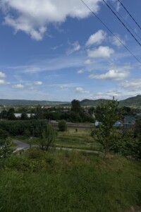 одноповерховий будинок, 48.3 кв. м, цегла. Продаж у Делятині фото 2