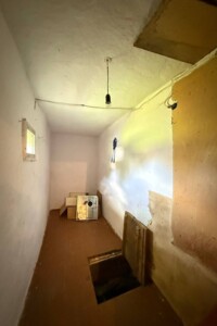 одноповерховий будинок, 48.3 кв. м, цегла. Продаж у Делятині фото 2
