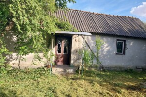 одноповерховий будинок, 23 кв. м, цегла. Продаж у Демечі фото 2