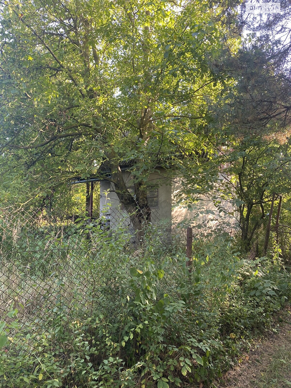 одноэтажный дом, 40 кв. м, кирпич. Продажа в Денисове фото 1 одноэтажный дом, 40 кв. м, кирпич. Продажа в Денисове фото 1