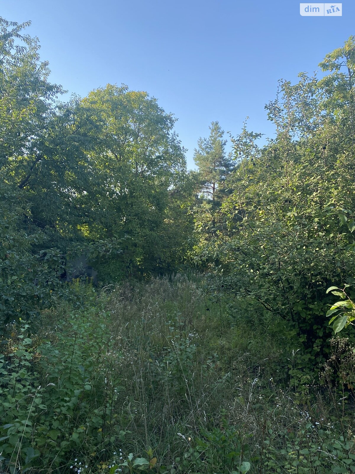 одноэтажный дом, 40 кв. м, кирпич. Продажа в Денисове фото 1 одноэтажный дом, 40 кв. м, кирпич. Продажа в Денисове фото 1