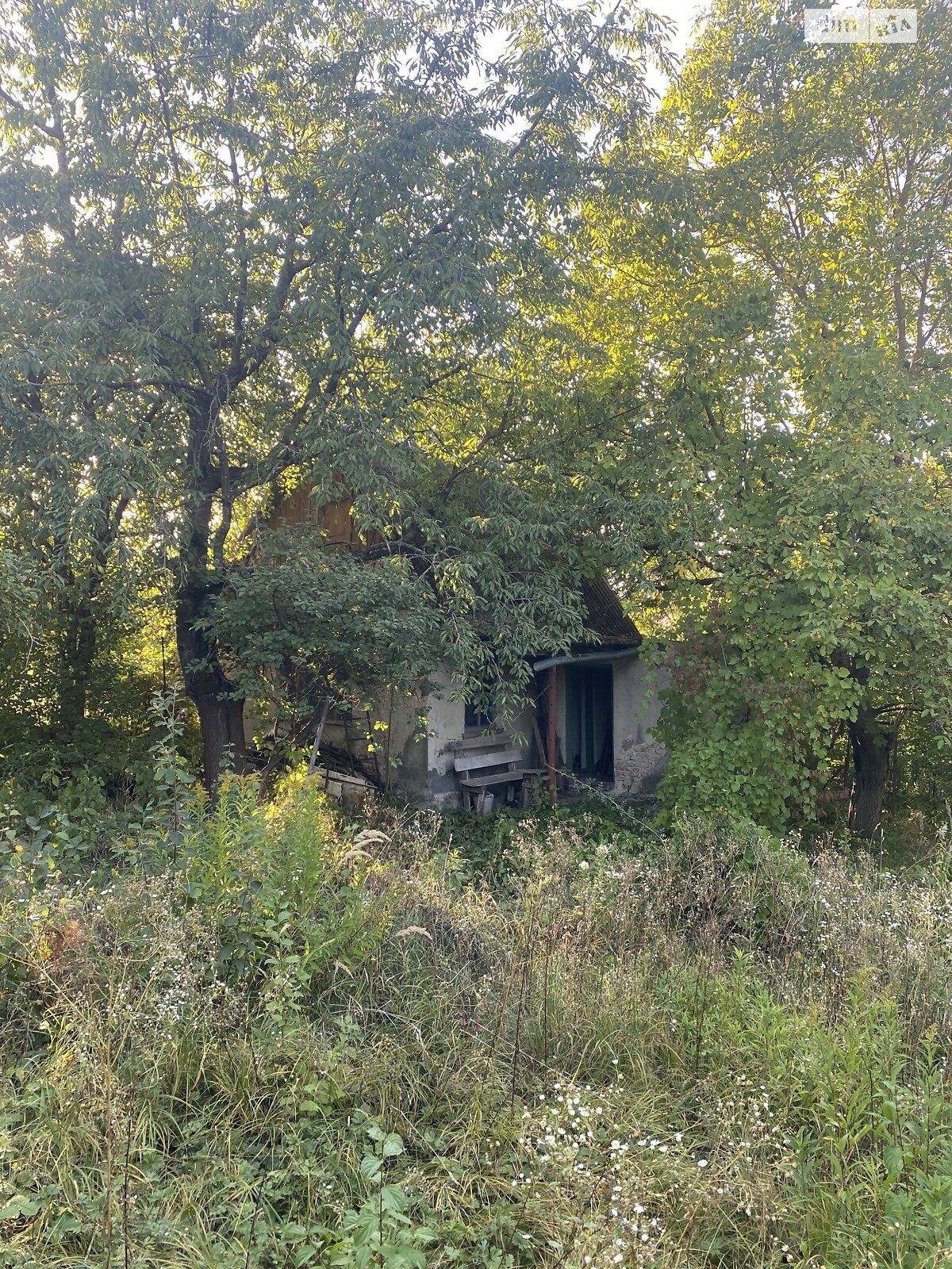 одноэтажный дом, 40 кв. м, кирпич. Продажа в Денисове фото 1 одноэтажный дом, 40 кв. м, кирпич. Продажа в Денисове фото 1