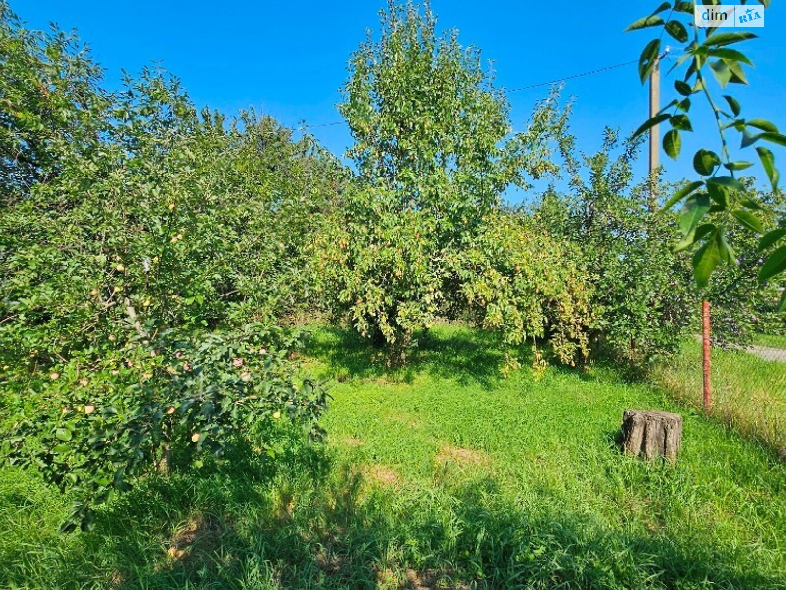 одноповерховий будинок з гаражем, 75.7 кв. м, дерево та цегла. Продаж у Денисах фото 1