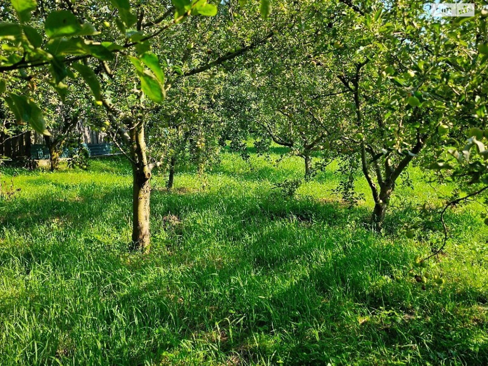 одноповерховий будинок з гаражем, 75.7 кв. м, дерево та цегла. Продаж у Денисах фото 1