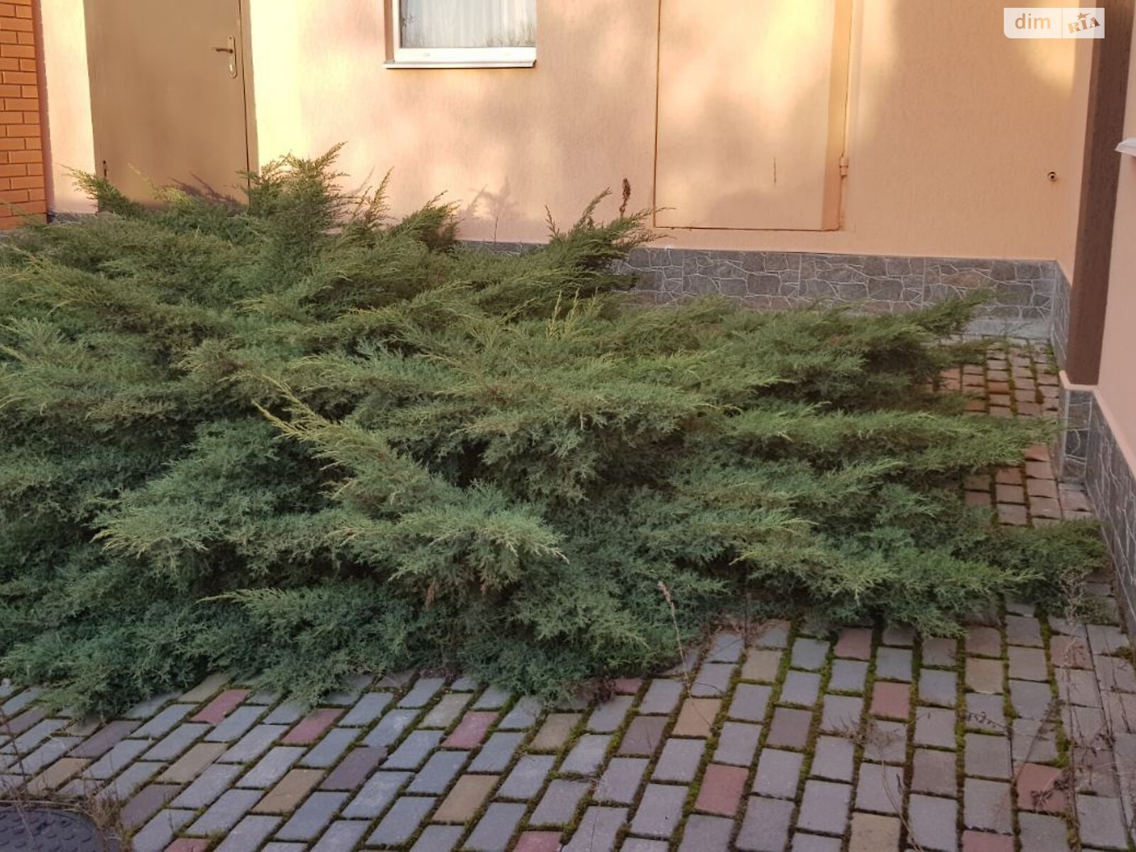 двоповерховий будинок з ремонтом, 156 кв. м, цегла. Продаж в Дергачах, район Дергачі фото 1 двоповерховий будинок з ремонтом, 156 кв. м, цегла. Продаж в Дергачах, район Дергачі фото 1