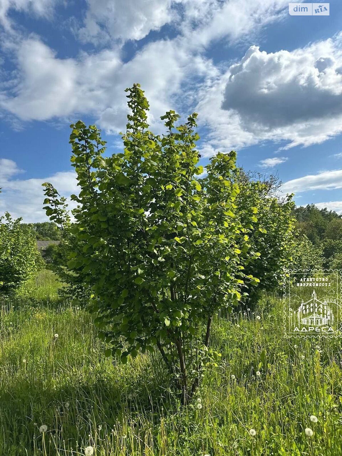 двухэтажный дом с гаражом, 146.5 кв. м, кирпич. Продажа в Дермани Первой фото 1 двухэтажный дом с гаражом, 146.5 кв. м, кирпич. Продажа в Дермани Первой фото 1