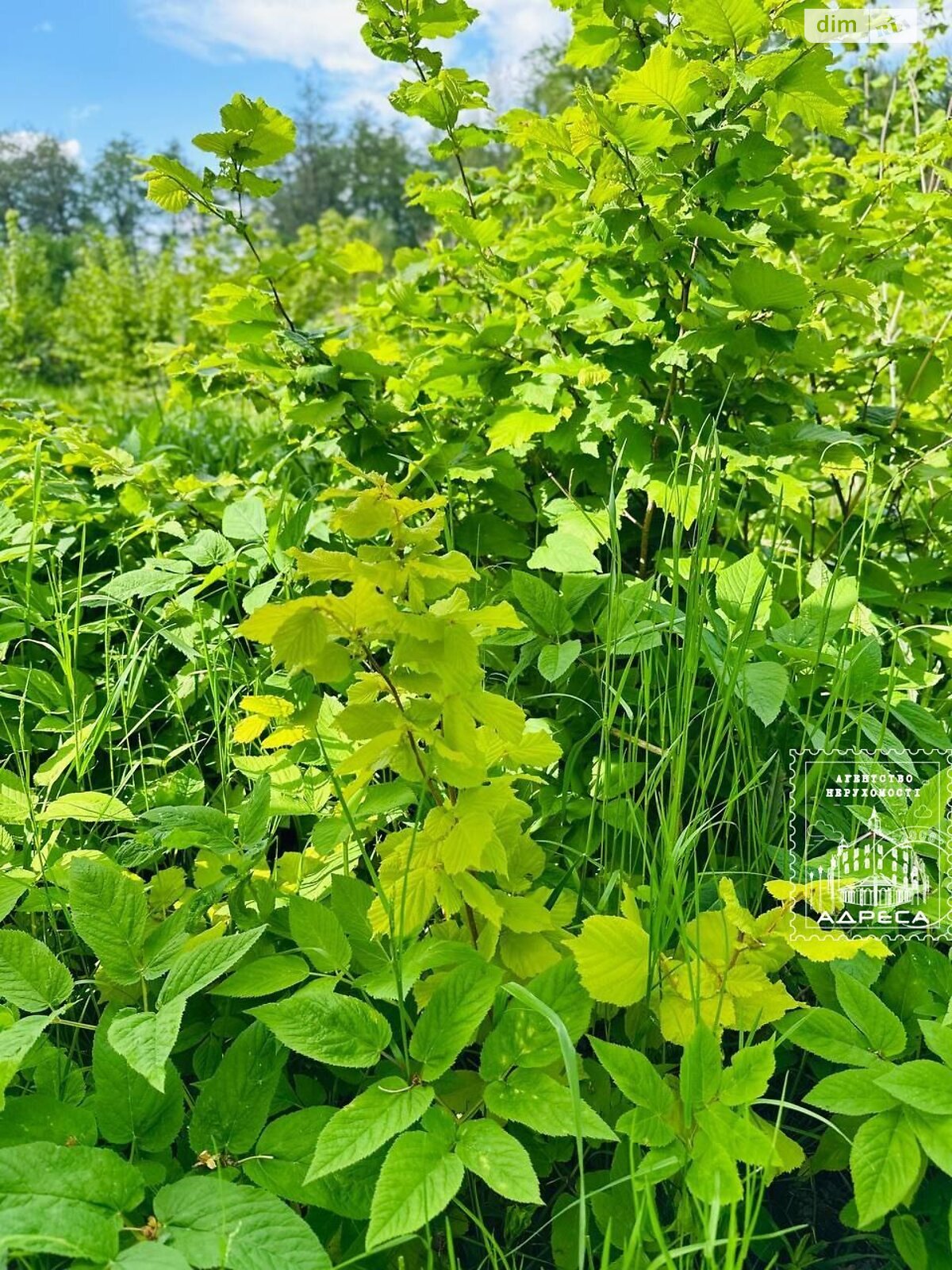 двухэтажный дом с гаражом, 146.5 кв. м, кирпич. Продажа в Дермани Первой фото 1 двухэтажный дом с гаражом, 146.5 кв. м, кирпич. Продажа в Дермани Первой фото 1