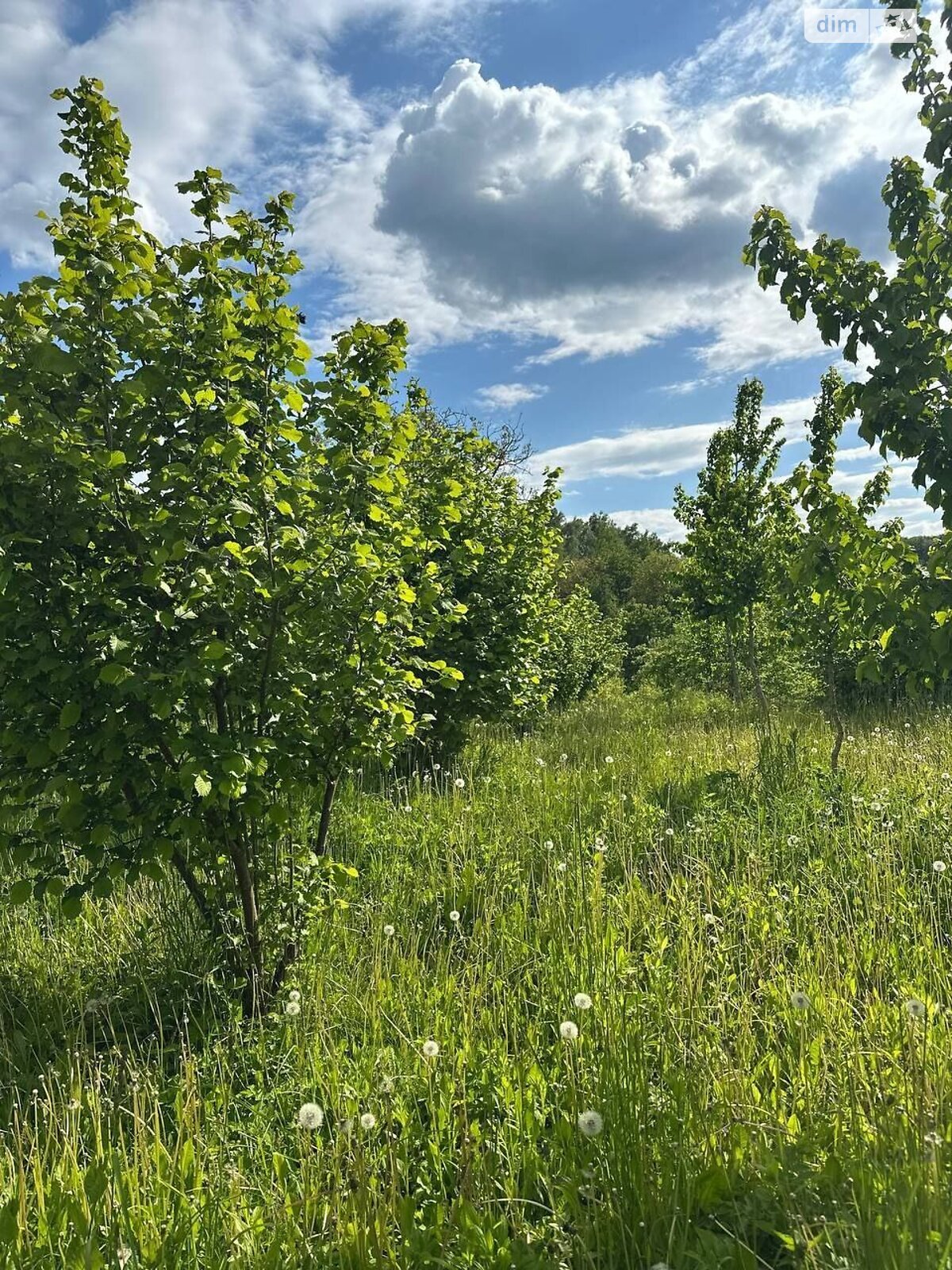 двухэтажный дом с гаражом, 146.5 кв. м, кирпич. Продажа в Дермани Первой фото 1 двухэтажный дом с гаражом, 146.5 кв. м, кирпич. Продажа в Дермани Первой фото 1
