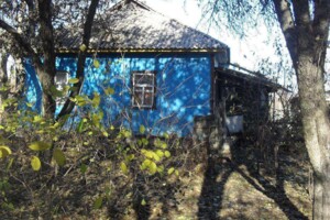 одноповерховий будинок, 80 кв. м, цегла. Продаж у Дешках фото 2