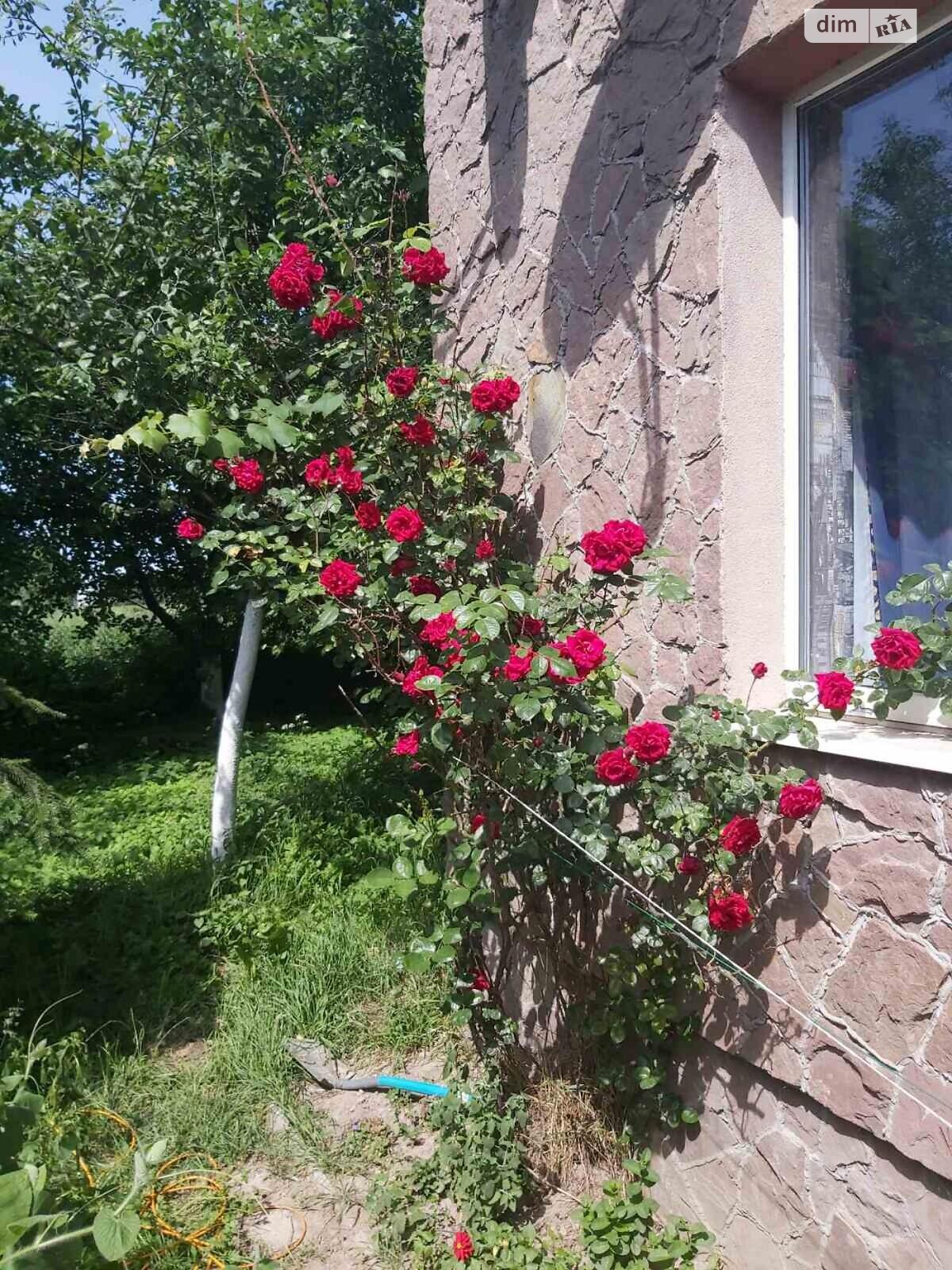 триповерховий будинок бесідка, 193.8 кв. м, цегла. Продаж у Дібрівки фото 1