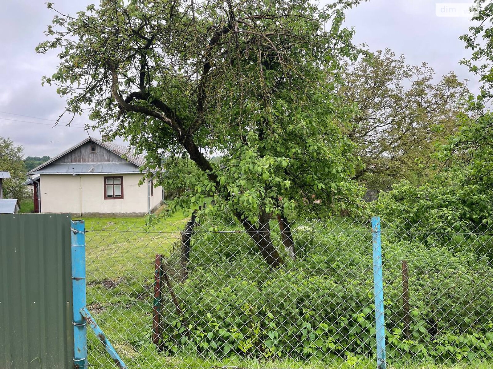 одноповерховий будинок, 54 кв. м, цегла. Продаж у Дідиловому фото 1