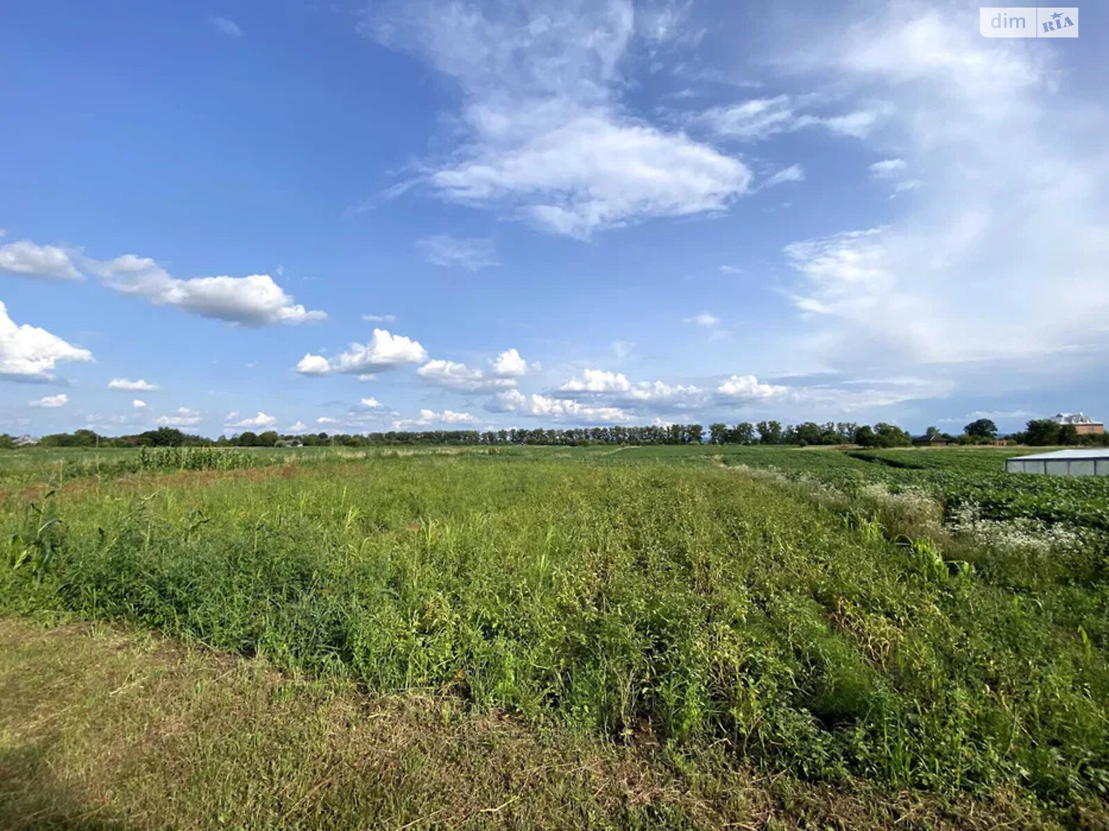 одноповерховий будинок, 53 кв. м, цегла. Продаж у Джурові фото 1 одноповерховий будинок, 53 кв. м, цегла. Продаж у Джурові фото 1