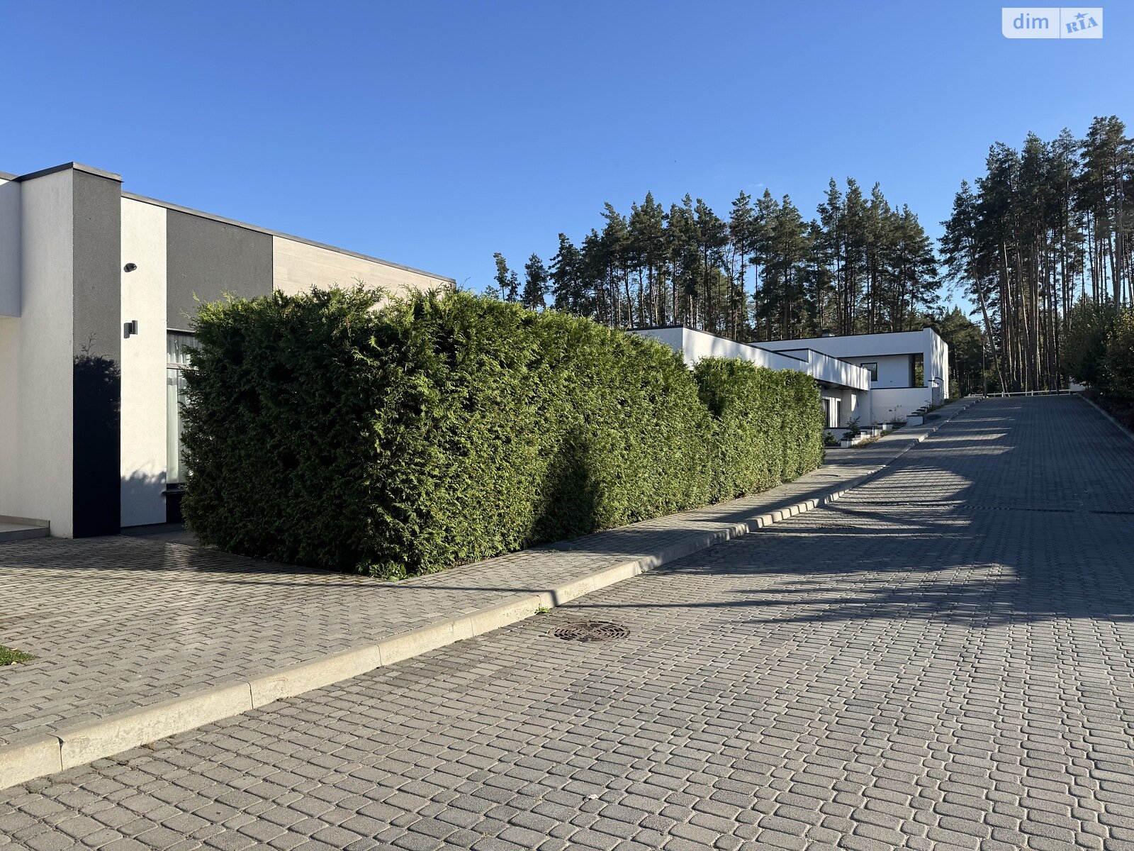 одноповерховий будинок з ремонтом, 175 кв. м, газобетон. Продаж у Дмитрівці фото 1