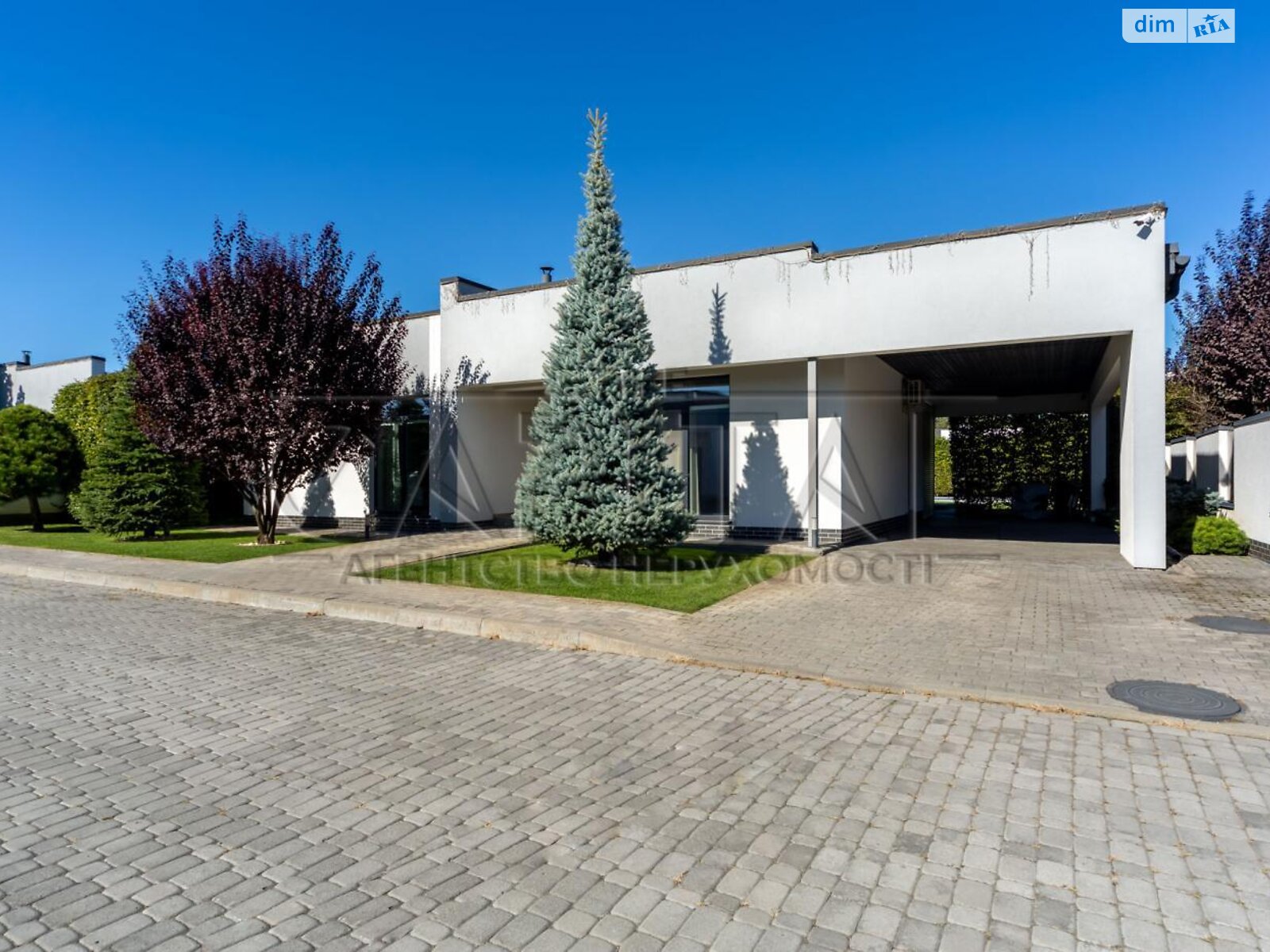 одноповерховий будинок з опаленням, 160 кв. м, цегла. Продаж у Дмитрівці фото 1
