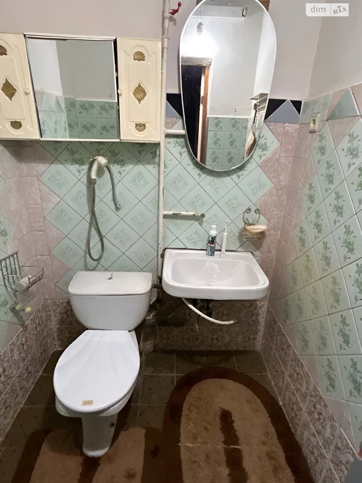двоповерховий будинок, 186 кв. м, цегла. Продаж у Дмитрівці фото 1 двоповерховий будинок, 186 кв. м, цегла. Продаж у Дмитрівці фото 1