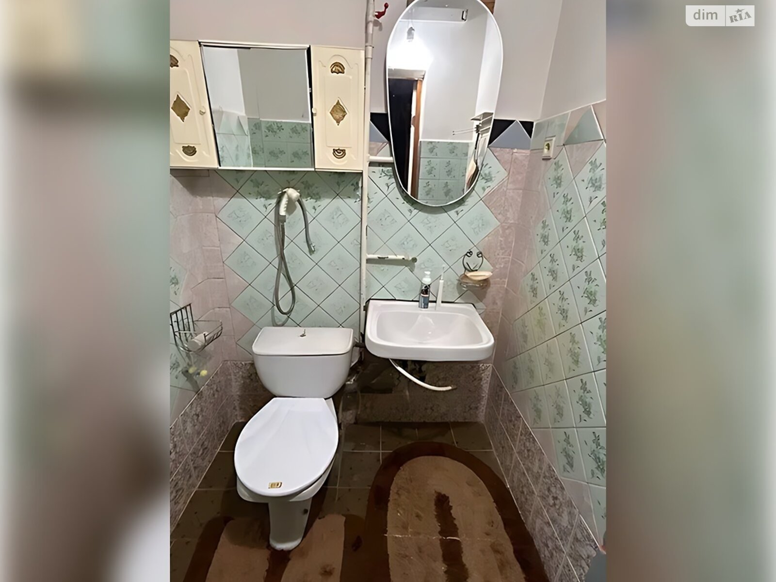 двоповерховий будинок, 186.6 кв. м, цегла. Продаж у Дмитрівці фото 1 двоповерховий будинок, 186.6 кв. м, цегла. Продаж у Дмитрівці фото 1