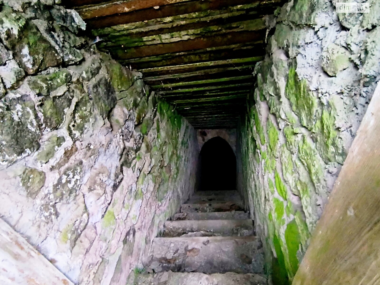 одноповерховий будинок з верандою, 62.9 кв. м, глинобитный. Продаж у Дмитрушках фото 1