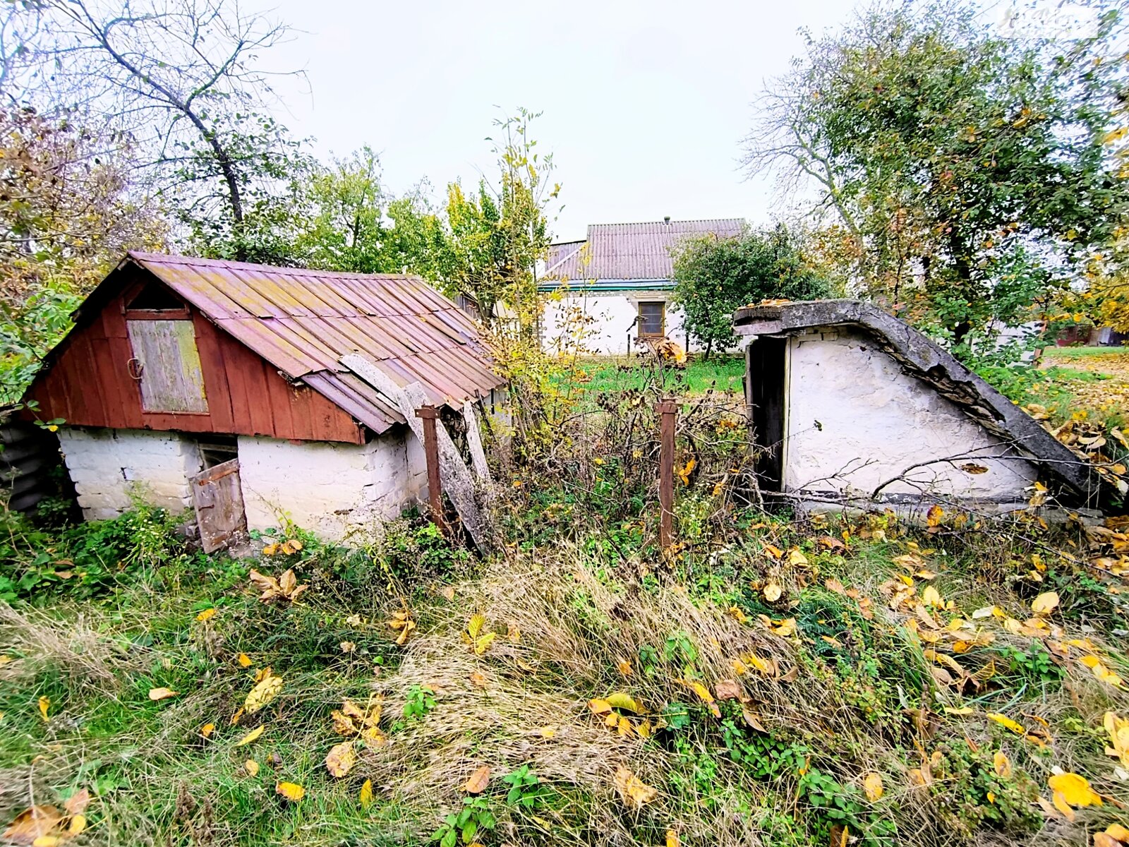 одноповерховий будинок з верандою, 62.9 кв. м, глинобитный. Продаж у Дмитрушках фото 1