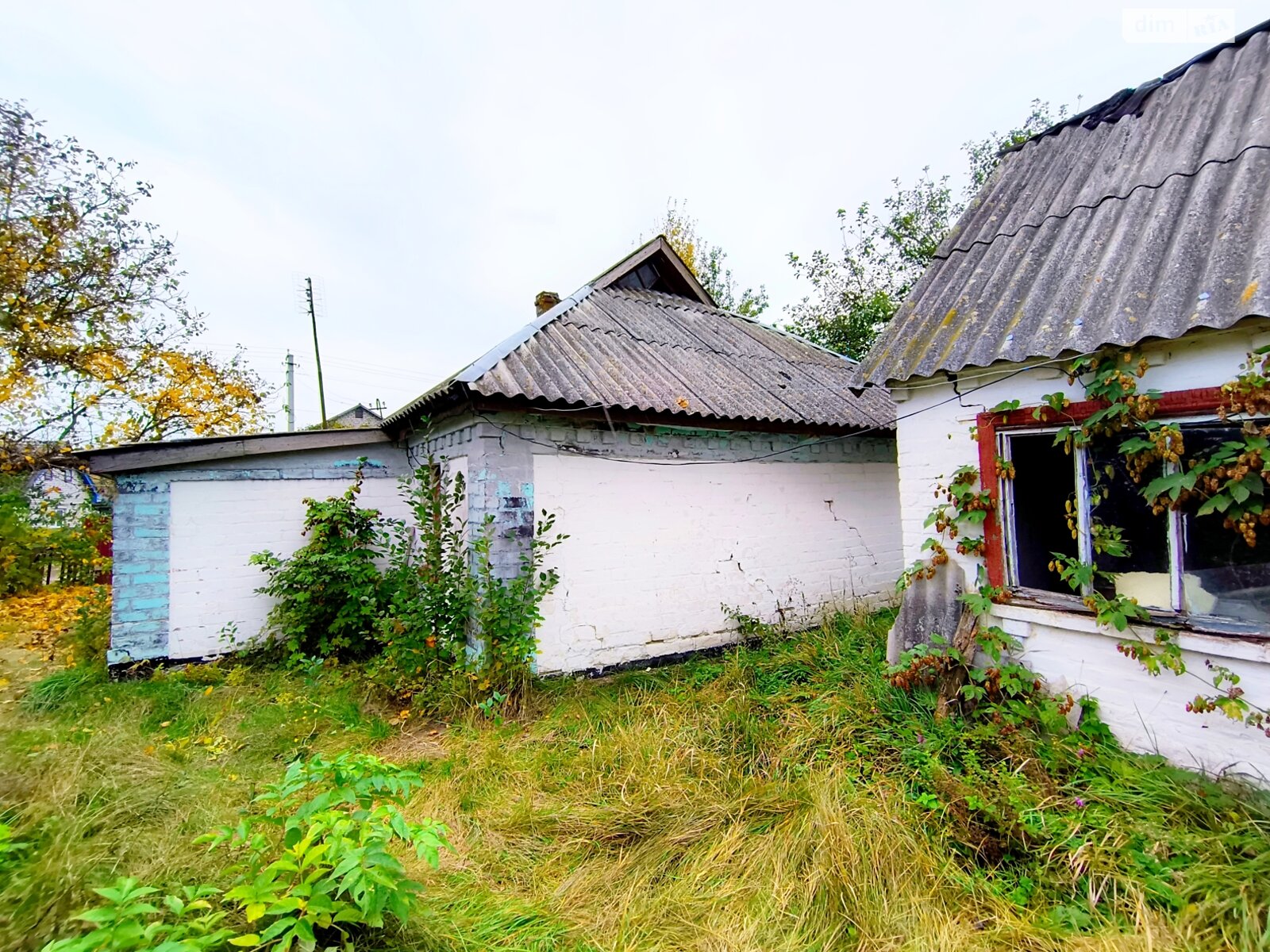 одноповерховий будинок з верандою, 62.9 кв. м, глинобитный. Продаж у Дмитрушках фото 1