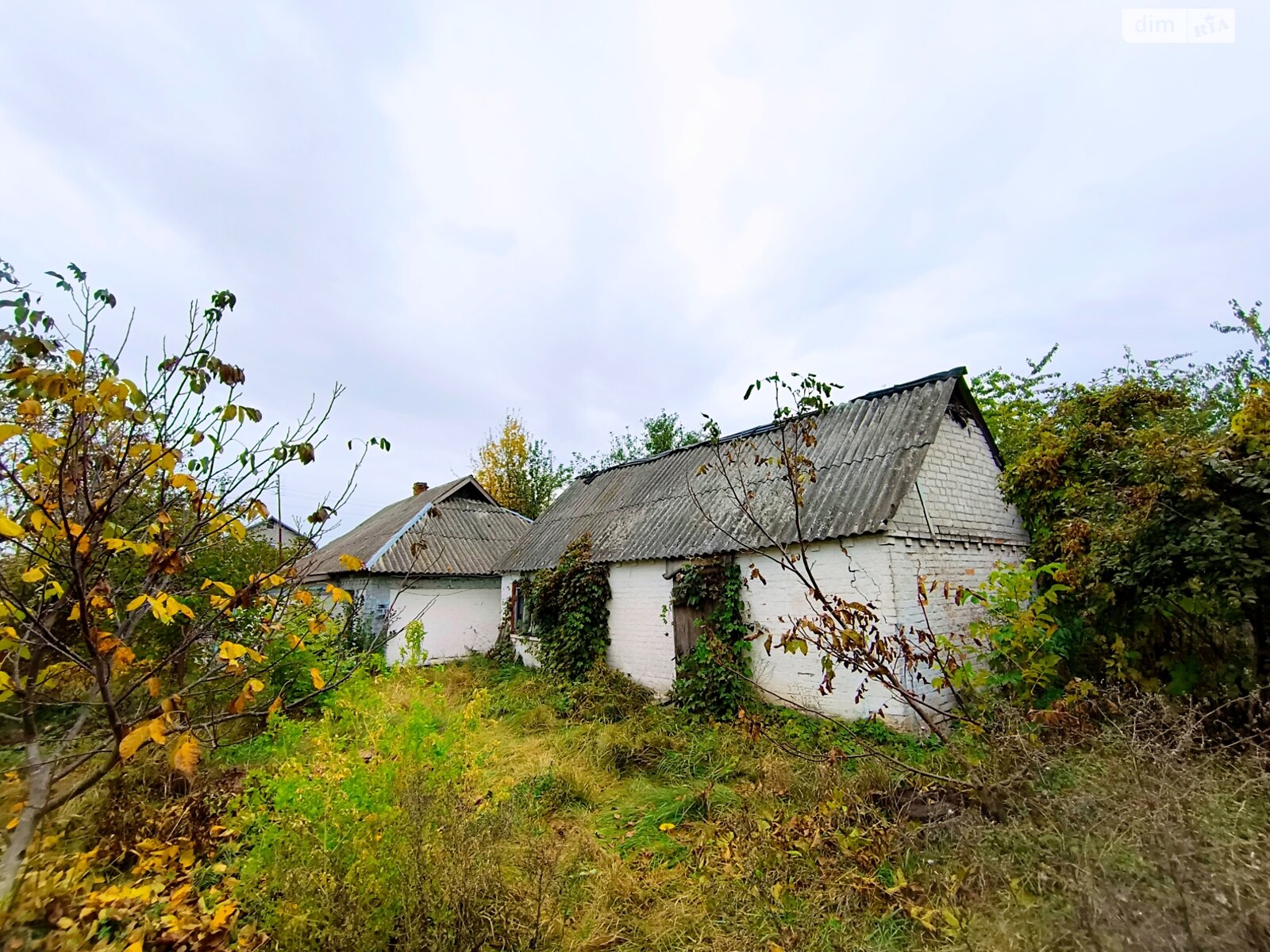 одноповерховий будинок з верандою, 62.9 кв. м, глинобитный. Продаж у Дмитрушках фото 1