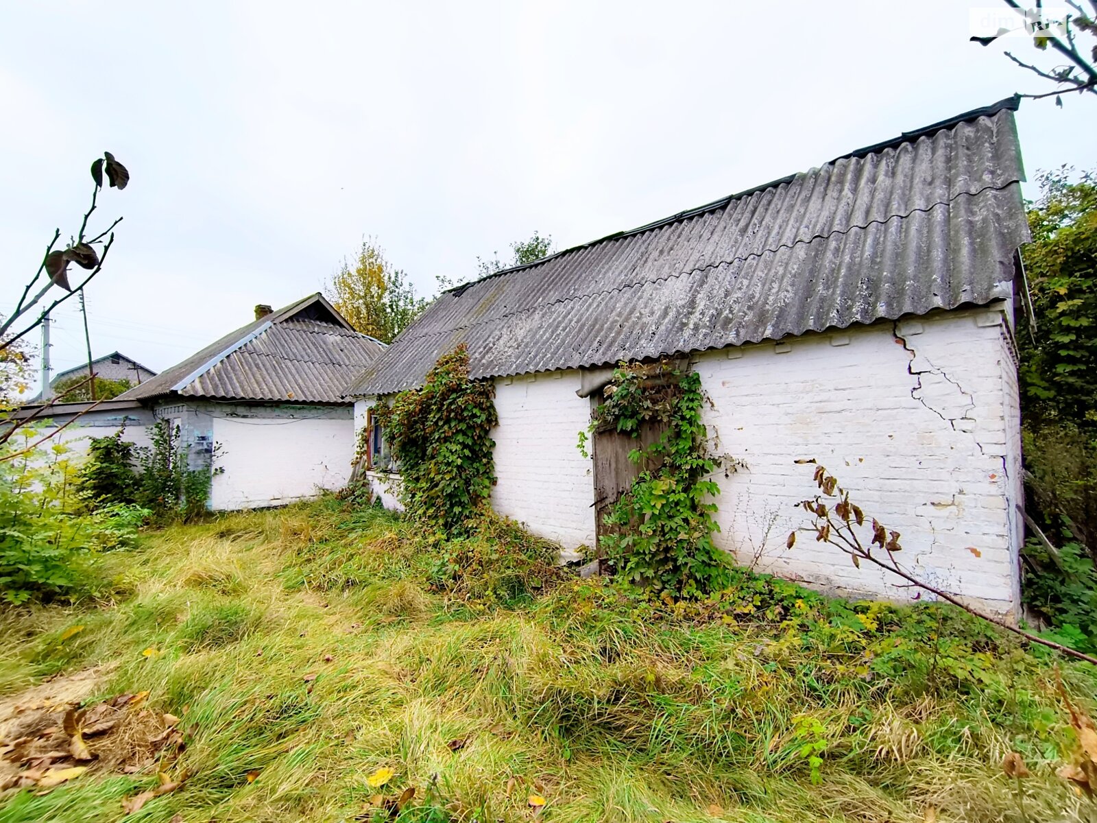 одноповерховий будинок з верандою, 62.9 кв. м, глинобитный. Продаж у Дмитрушках фото 1