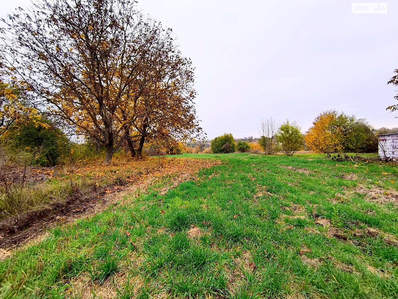 одноповерховий будинок з верандою, 62.9 кв. м, глинобитный. Продаж у Дмитрушках фото 1