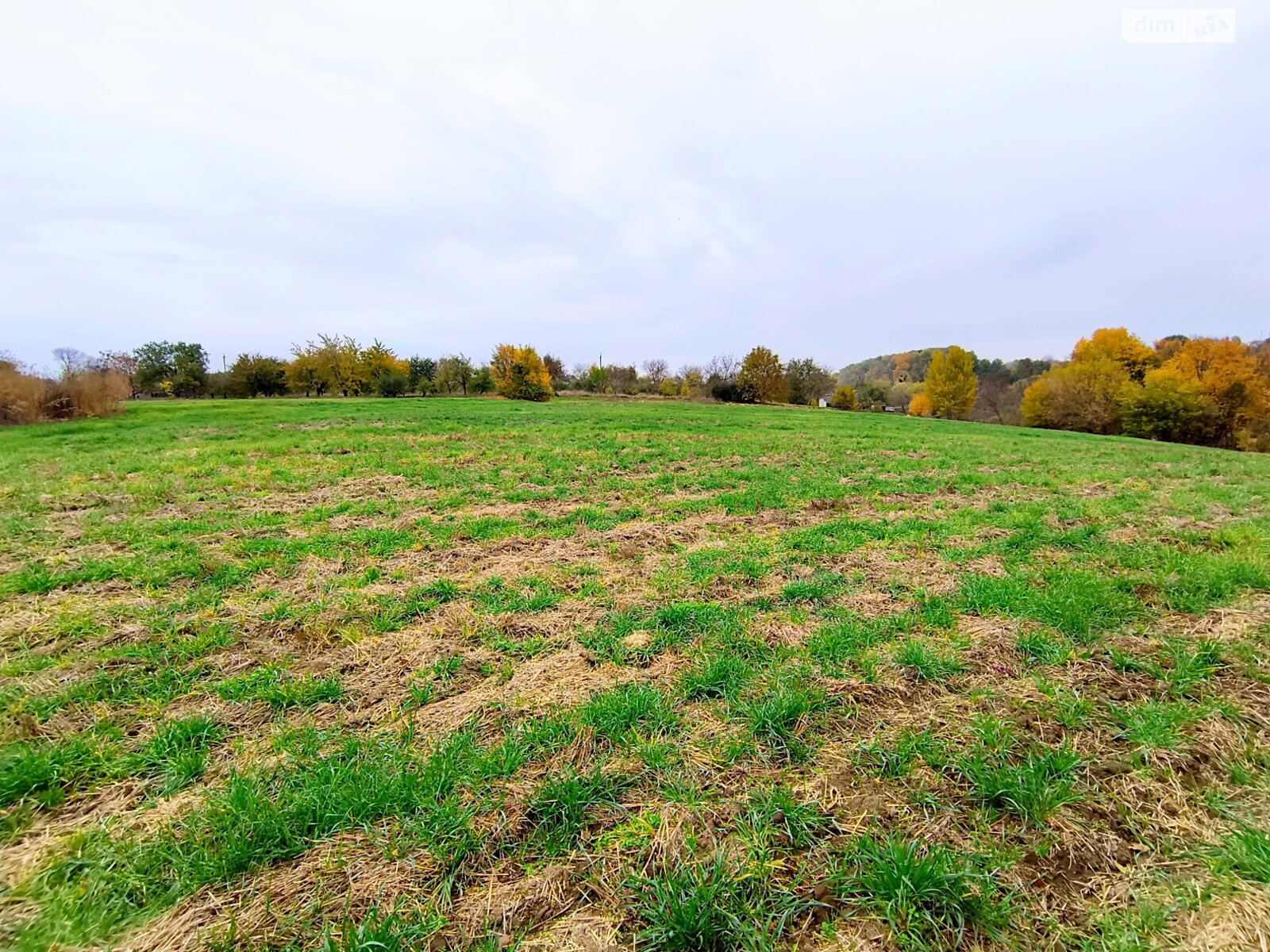 одноповерховий будинок з верандою, 62.9 кв. м, глинобитный. Продаж у Дмитрушках фото 1