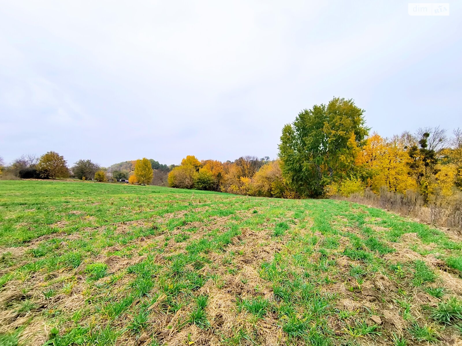 одноповерховий будинок з верандою, 62.9 кв. м, глинобитный. Продаж у Дмитрушках фото 1