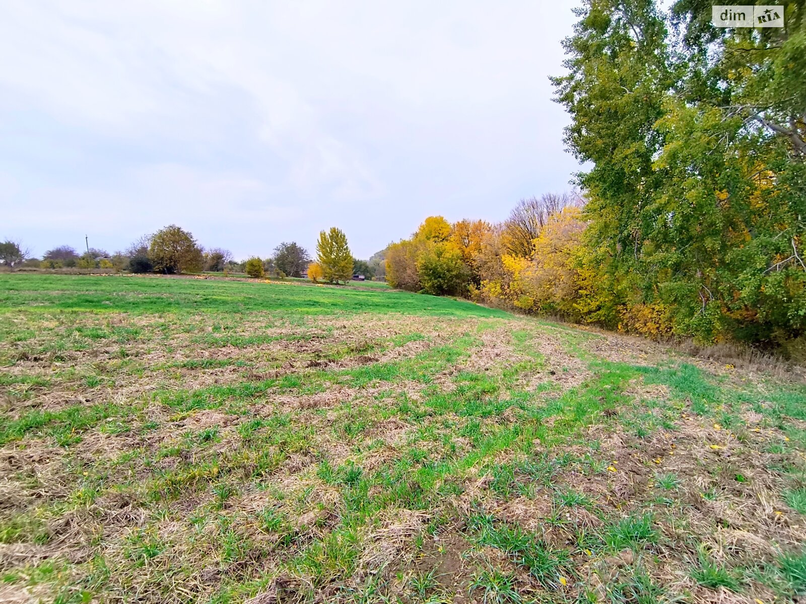 одноповерховий будинок з верандою, 62.9 кв. м, глинобитный. Продаж у Дмитрушках фото 1