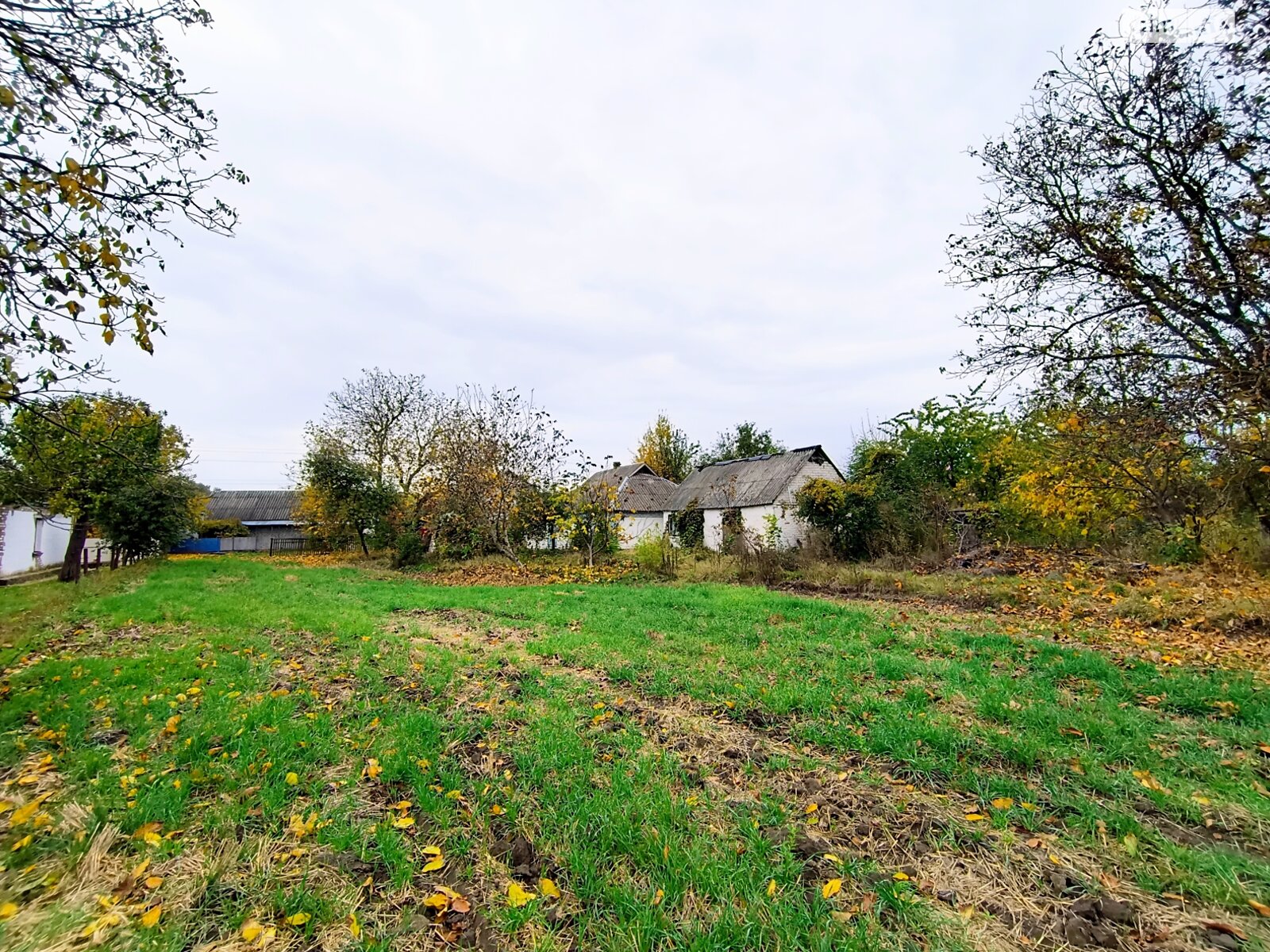 одноповерховий будинок з верандою, 62.9 кв. м, глинобитный. Продаж у Дмитрушках фото 1