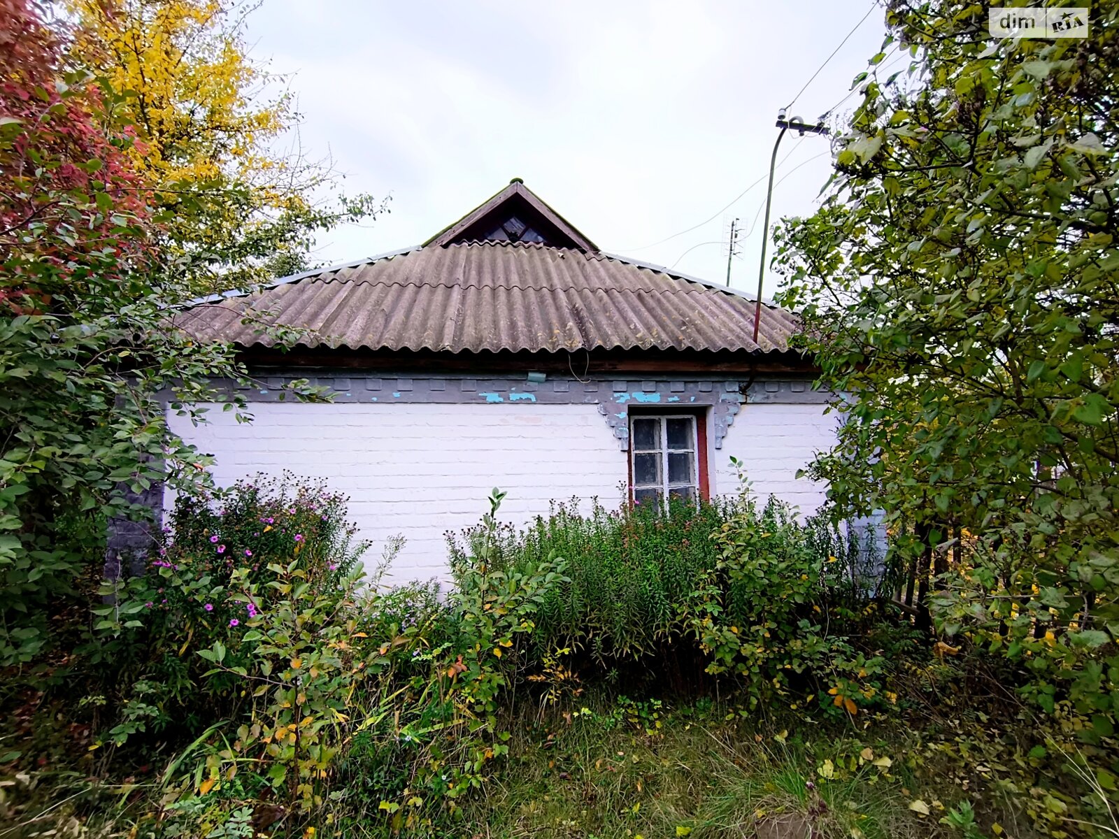 одноповерховий будинок з верандою, 62.9 кв. м, глинобитный. Продаж у Дмитрушках фото 1