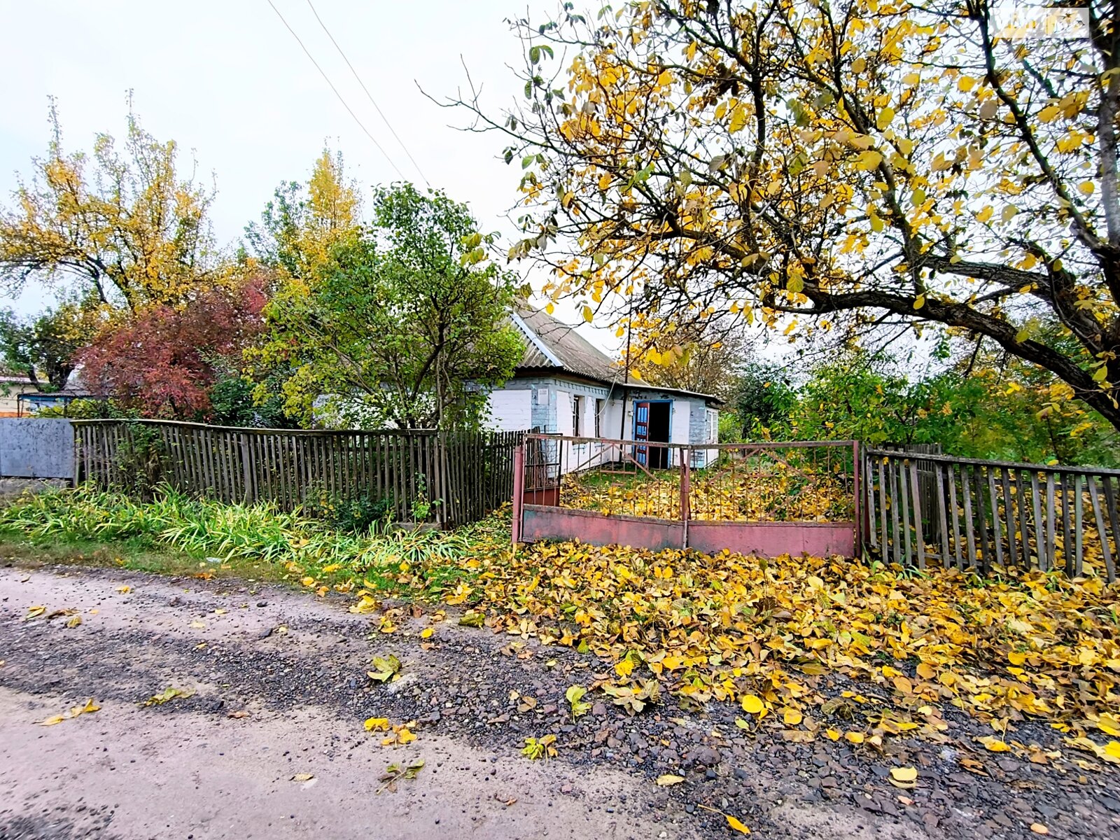 одноповерховий будинок з верандою, 62.9 кв. м, глинобитный. Продаж у Дмитрушках фото 1