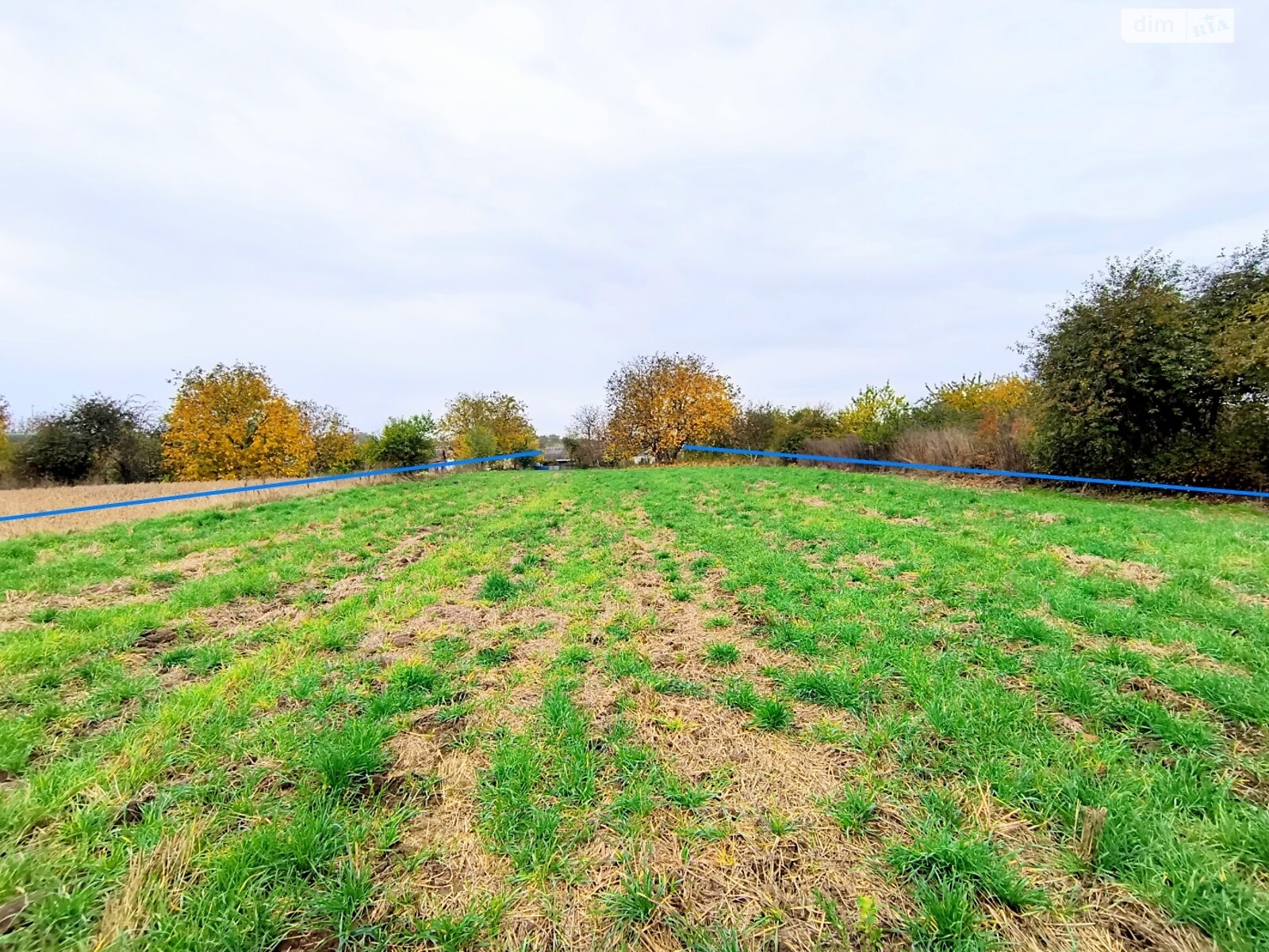 одноповерховий будинок з верандою, 62.9 кв. м, глинобитный. Продаж у Дмитрушках фото 1