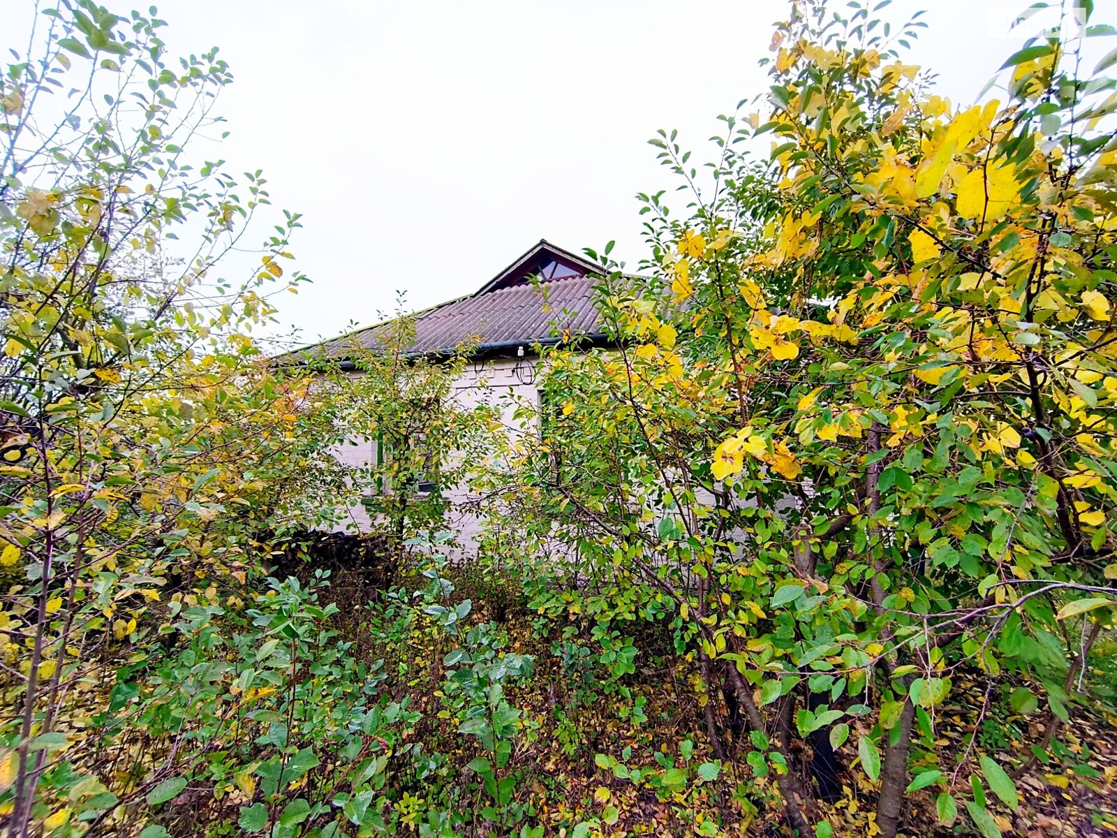 одноэтажный дом, 76.1 кв. м, глинобитный. Продажа в Дмитрушках фото 1 одноэтажный дом, 76.1 кв. м, глинобитный. Продажа в Дмитрушках фото 1