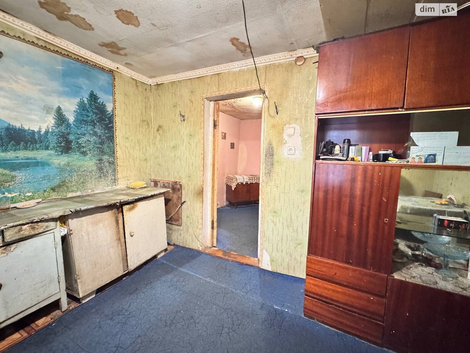 одноэтажный дом с отоплением, 91.1 кв. м, кирпич. Продажа в Днепре район Амур фото 1 одноэтажный дом с отоплением, 91.1 кв. м, кирпич. Продажа в Днепре район Амур фото 1