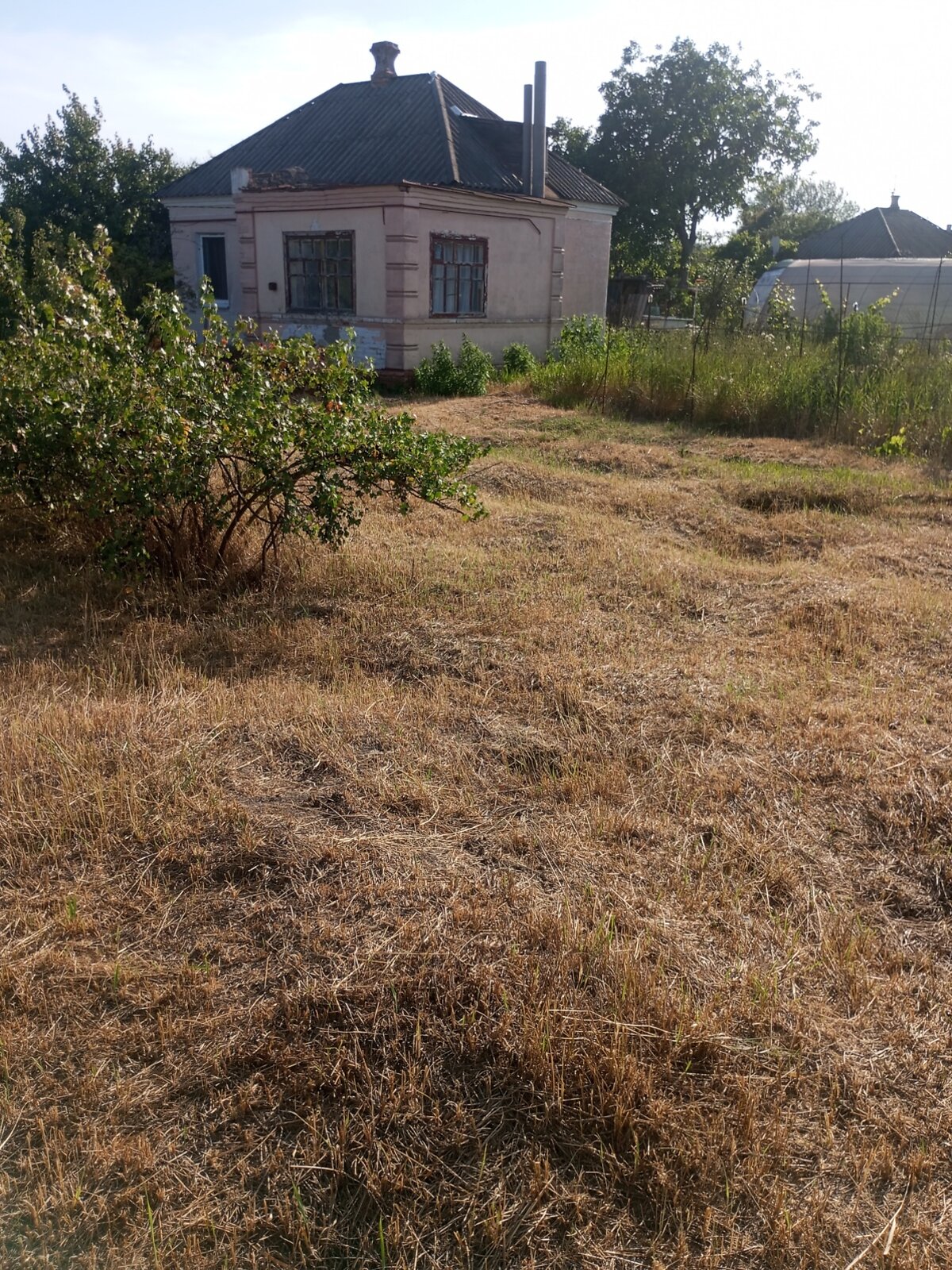 одноповерховий будинок, 45 кв. м, шлакобетон. Продаж в Дніпрі, район Березанівка фото 1 одноповерховий будинок, 45 кв. м, шлакобетон. Продаж в Дніпрі, район Березанівка фото 1
