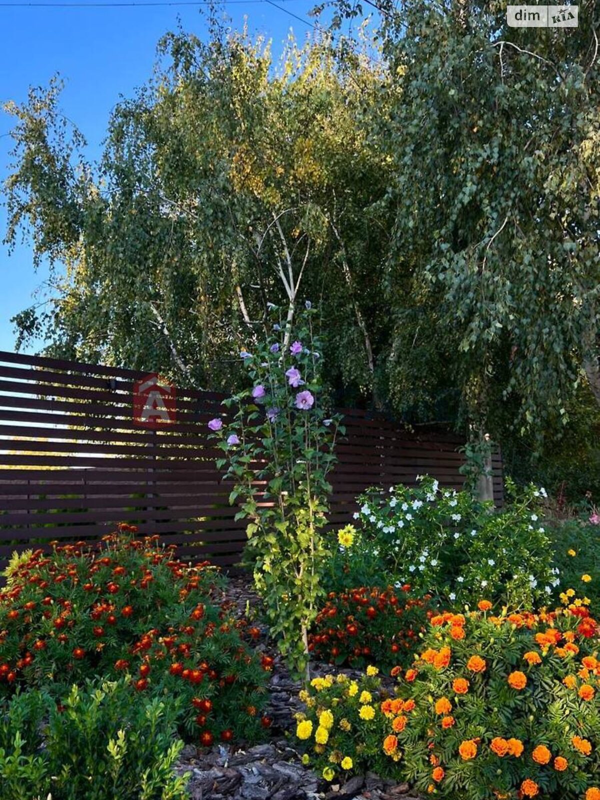 двухэтажный дом, 126 кв. м, кирпич. Продажа в Днепре район Амур-Нижнеднепровский фото 1 двухэтажный дом, 126 кв. м, кирпич. Продажа в Днепре район Амур-Нижнеднепровский фото 1