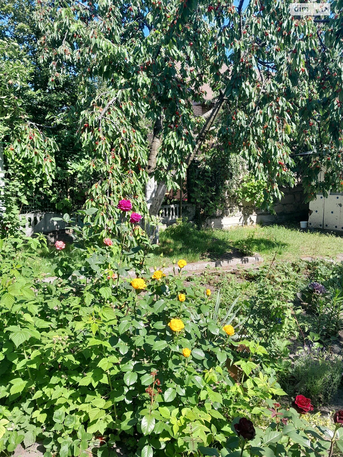 одноэтажный дом беседка, 100 кв. м, шлакобетон. Продажа в Днепре район Амур-Нижнеднепровский фото 1 одноэтажный дом беседка, 100 кв. м, шлакобетон. Продажа в Днепре район Амур-Нижнеднепровский фото 1
