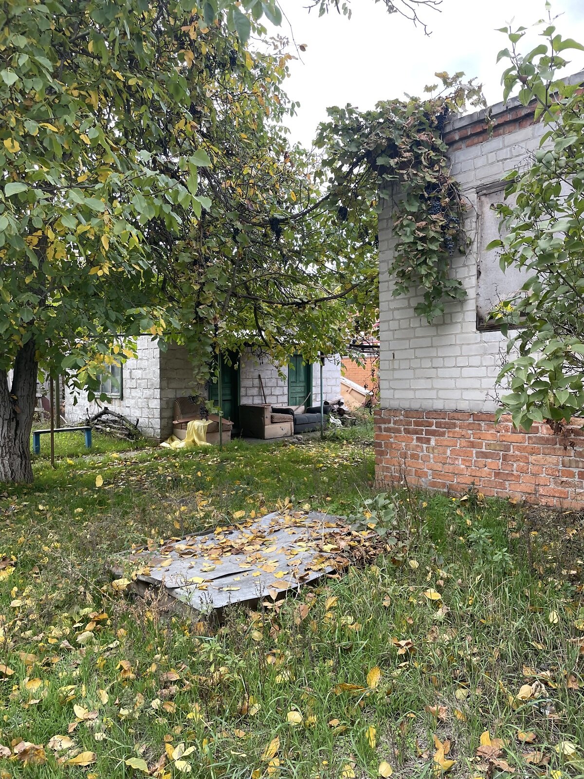 одноэтажный дом, 53.6 кв. м, шлакобетон. Продажа в Днепре район Березановка фото 1 одноэтажный дом, 53.6 кв. м, шлакобетон. Продажа в Днепре район Березановка фото 1