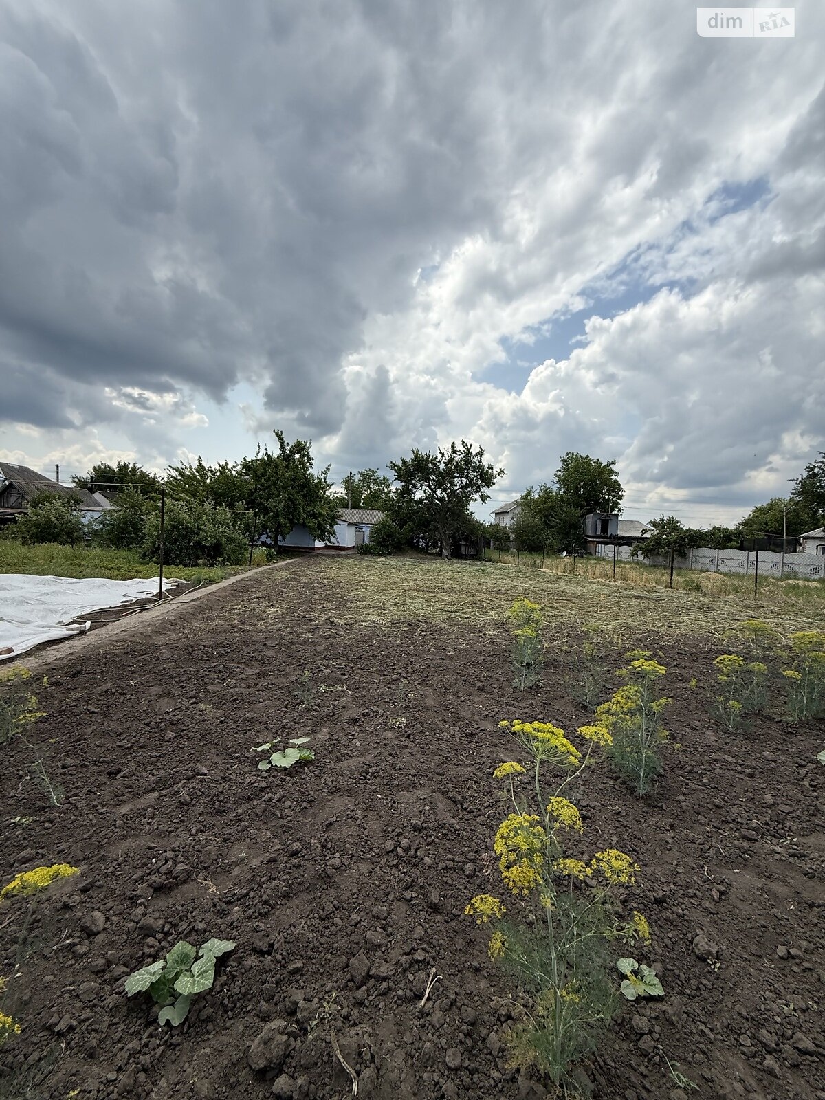 одноповерховий будинок з гаражем, 63.3 кв. м, цегла. Продаж в Дніпрі, район Березанівка фото 1 одноповерховий будинок з гаражем, 63.3 кв. м, цегла. Продаж в Дніпрі, район Березанівка фото 1