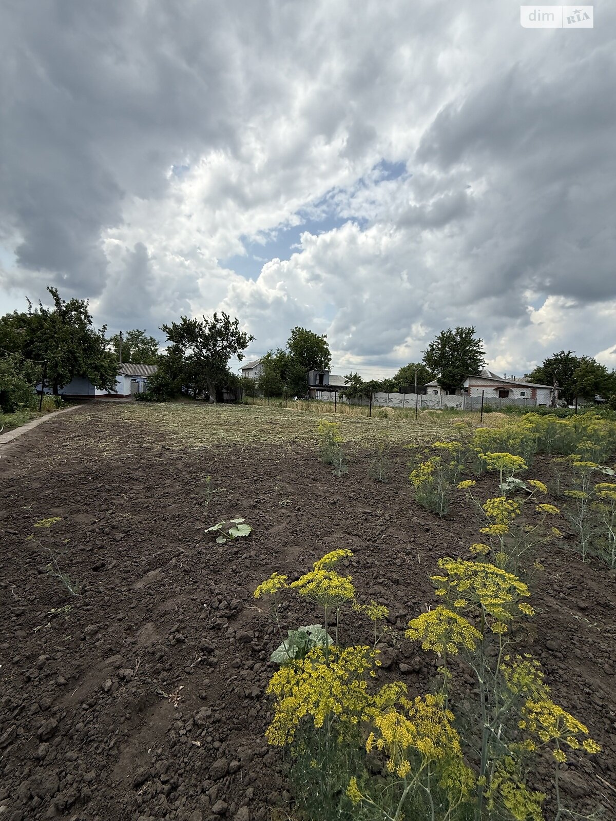 одноповерховий будинок з гаражем, 63.3 кв. м, цегла. Продаж в Дніпрі, район Березанівка фото 1 одноповерховий будинок з гаражем, 63.3 кв. м, цегла. Продаж в Дніпрі, район Березанівка фото 1