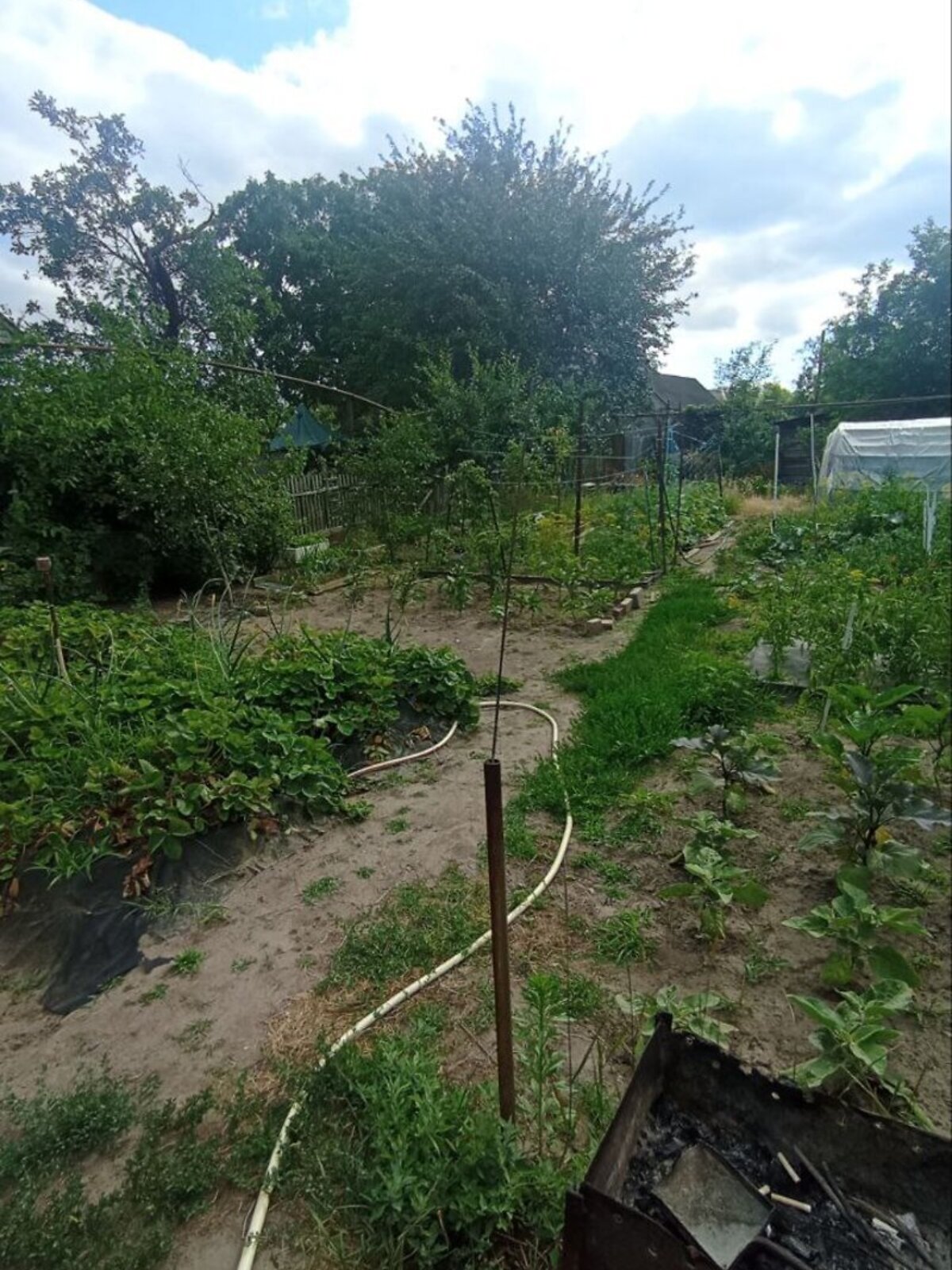 одноэтажный дом беседка, 56.9 кв. м, шлакоблок. Продажа в Днепре район Чапли фото 1 одноэтажный дом беседка, 56.9 кв. м, шлакоблок. Продажа в Днепре район Чапли фото 1