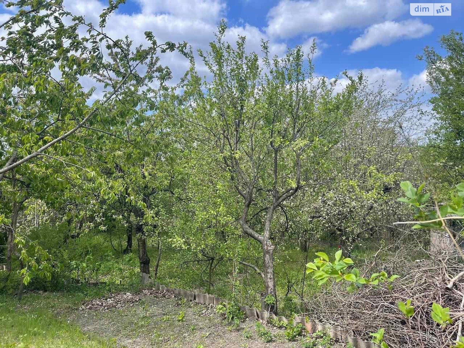 одноповерховий будинок, 20 кв. м, цегла. Продаж в Дніпрі, район Діївка-1 фото 1 одноповерховий будинок, 20 кв. м, цегла. Продаж в Дніпрі, район Діївка-1 фото 1