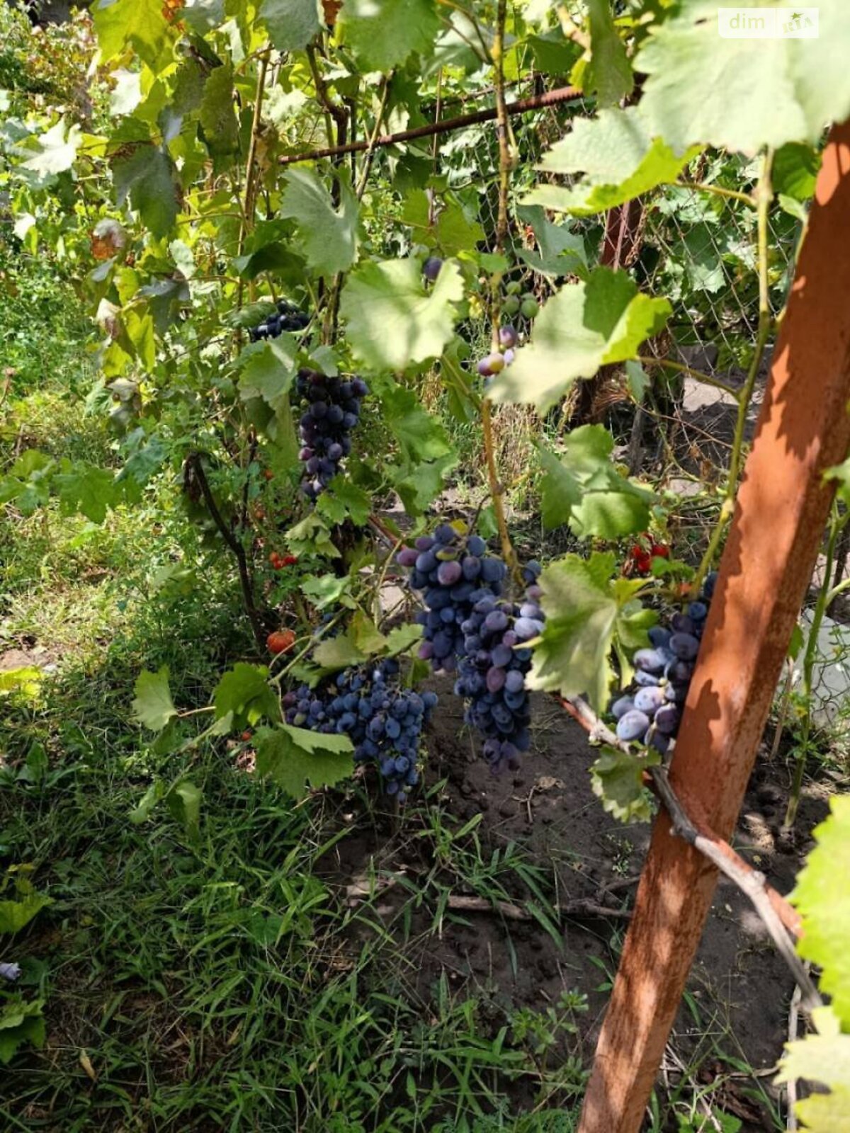 двухэтажный дом беседка, 127 кв. м, газобетон. Продажа в Днепре район Диевка-2 фото 1 двухэтажный дом беседка, 127 кв. м, газобетон. Продажа в Днепре район Диевка-2 фото 1