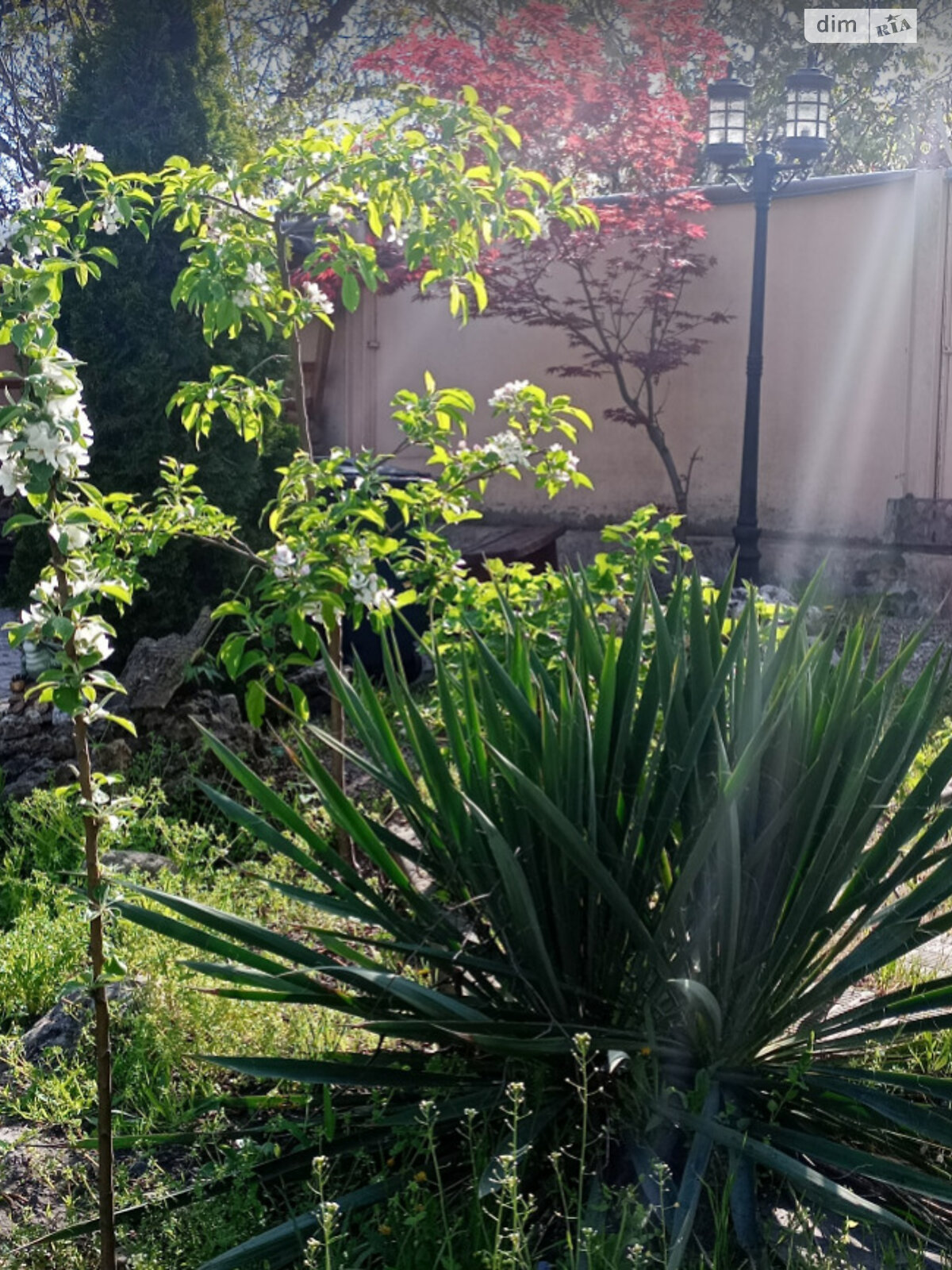 одноповерховий будинок з мансардою, 137.9 кв. м, цегла силікатна. Продаж в Дніпрі, район Шевченківський фото 1 одноповерховий будинок з мансардою, 137.9 кв. м, цегла силікатна. Продаж в Дніпрі, район Шевченківський фото 1