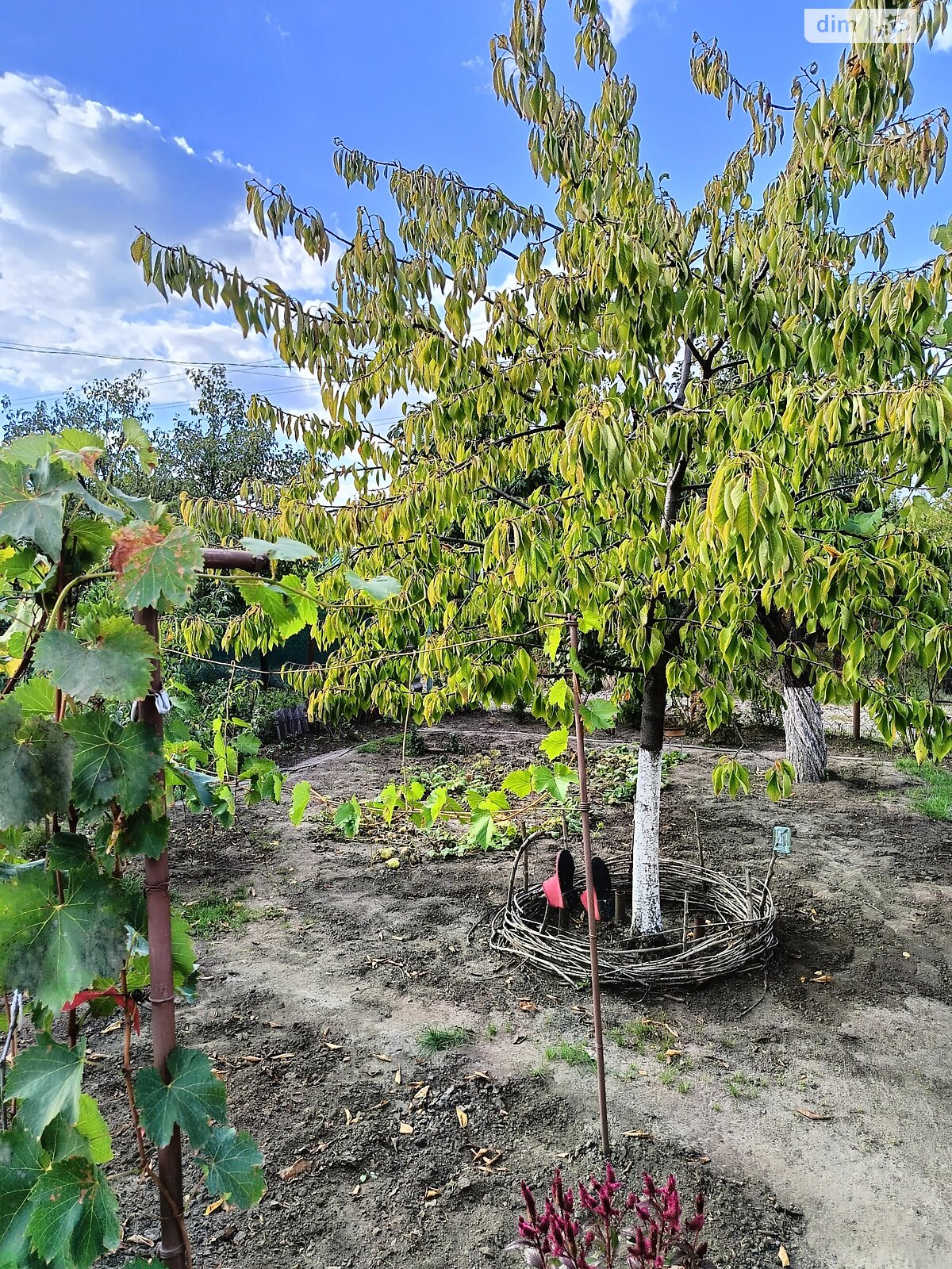 двухэтажный дом беседка, 30 кв. м, кирпич. Продажа в Днепре район Индустриальный фото 1 двухэтажный дом беседка, 30 кв. м, кирпич. Продажа в Днепре район Индустриальный фото 1