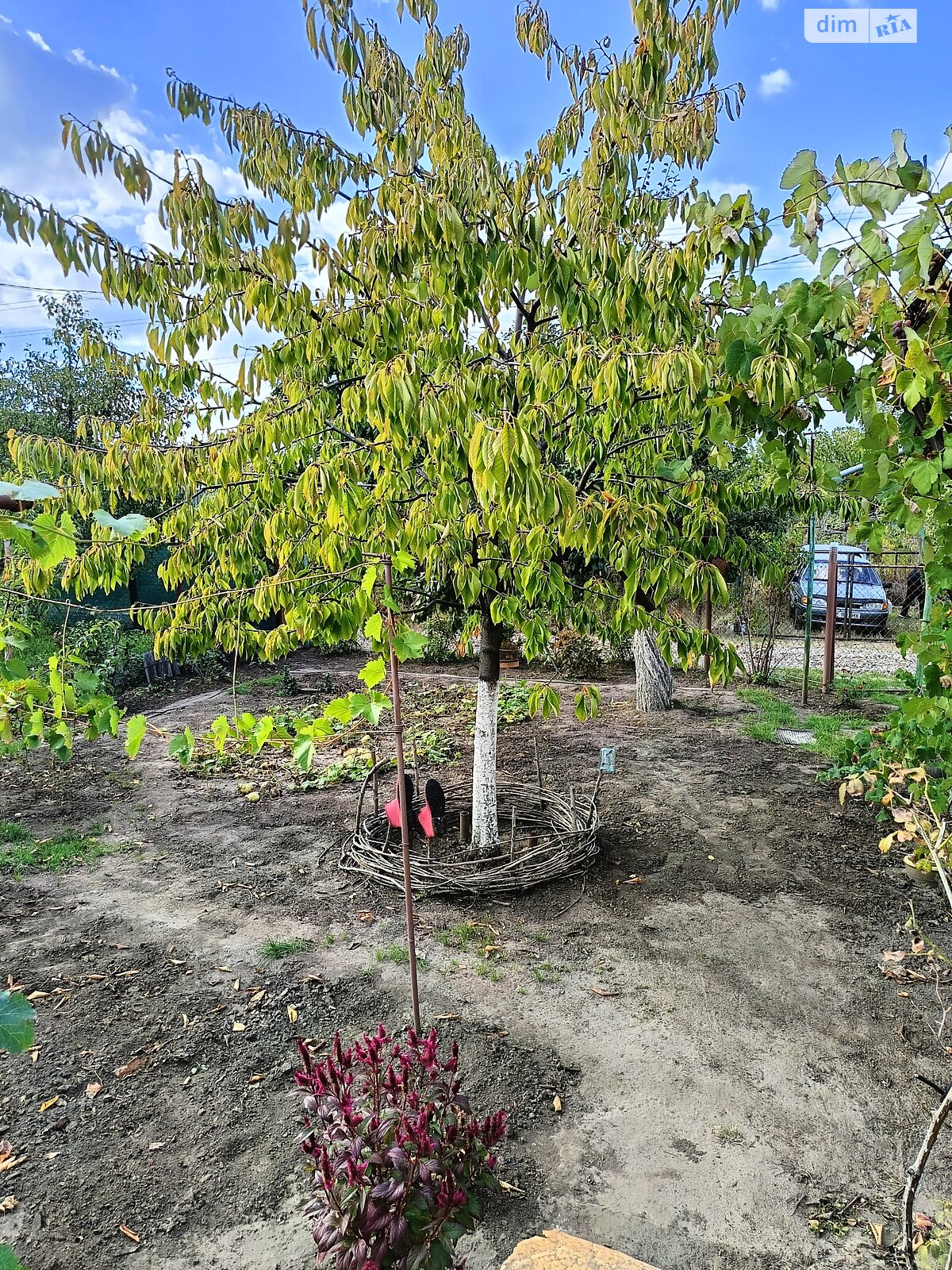 двухэтажный дом беседка, 30 кв. м, кирпич. Продажа в Днепре район Индустриальный фото 1 двухэтажный дом беседка, 30 кв. м, кирпич. Продажа в Днепре район Индустриальный фото 1