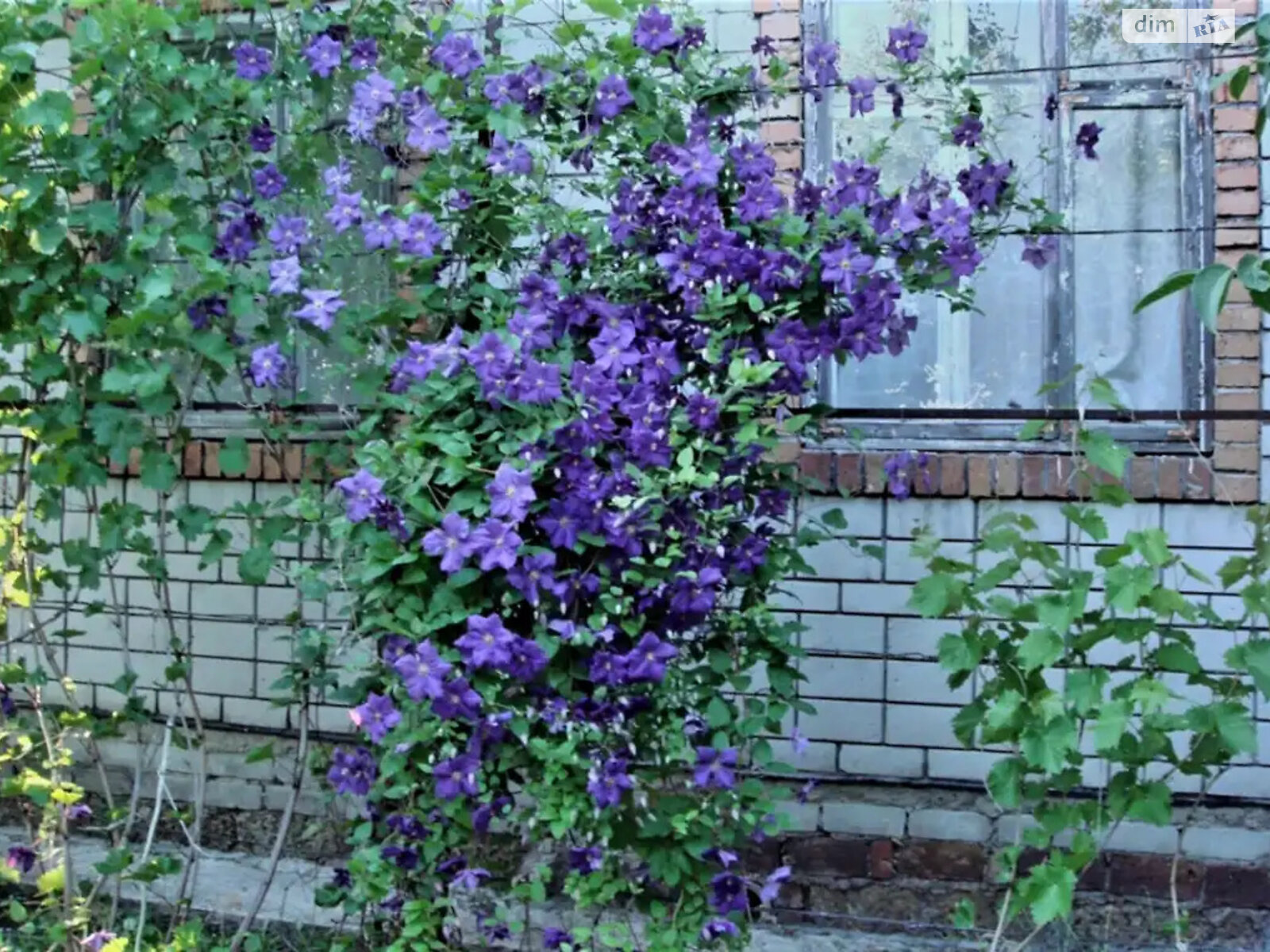 двухэтажный дом, 66 кв. м, кирпич. Продажа в Днепре район Камянка фото 1 двухэтажный дом, 66 кв. м, кирпич. Продажа в Днепре район Камянка фото 1