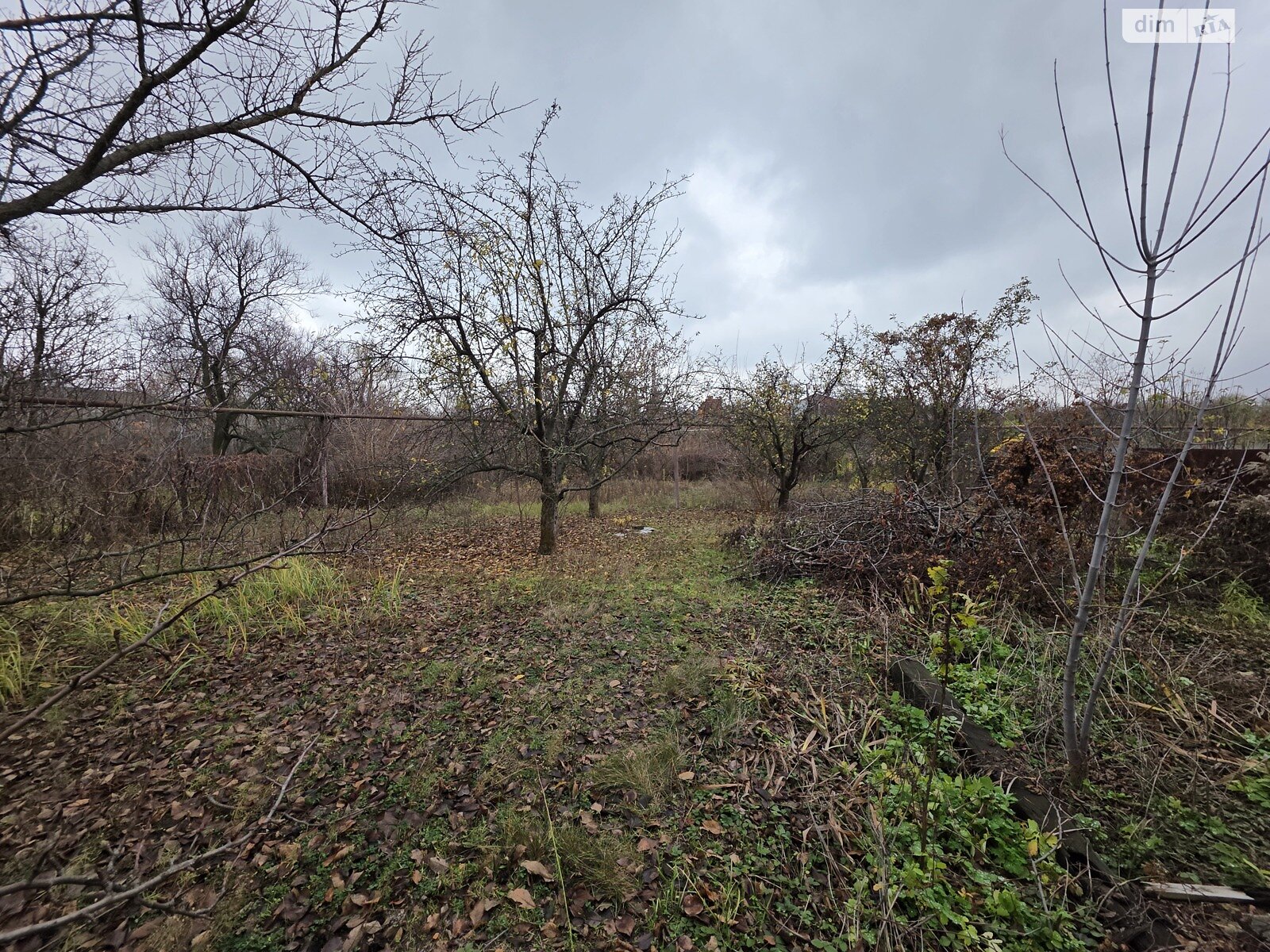 одноэтажный дом, 38.7 кв. м, кирпич. Продажа в Днепре район Кирилловка фото 1 одноэтажный дом, 38.7 кв. м, кирпич. Продажа в Днепре район Кирилловка фото 1